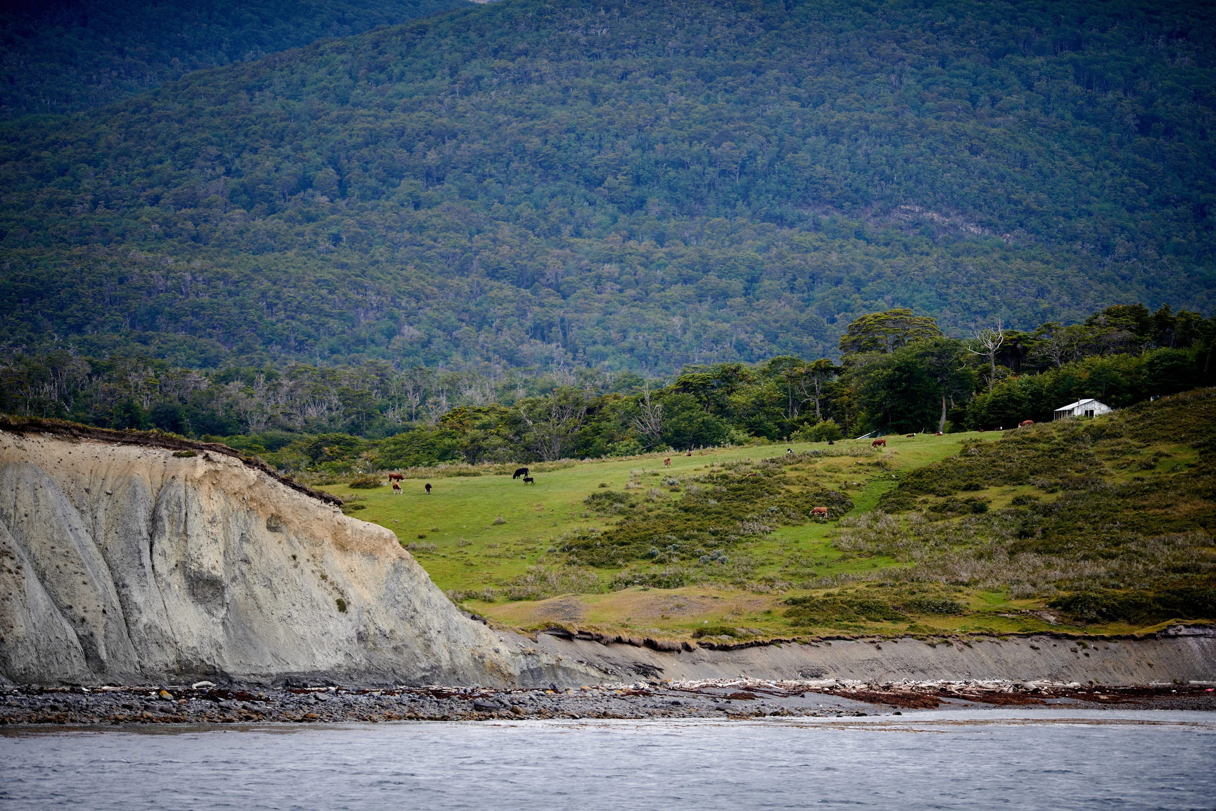 Sailing past a Chilean Farm in the Beagle Channel