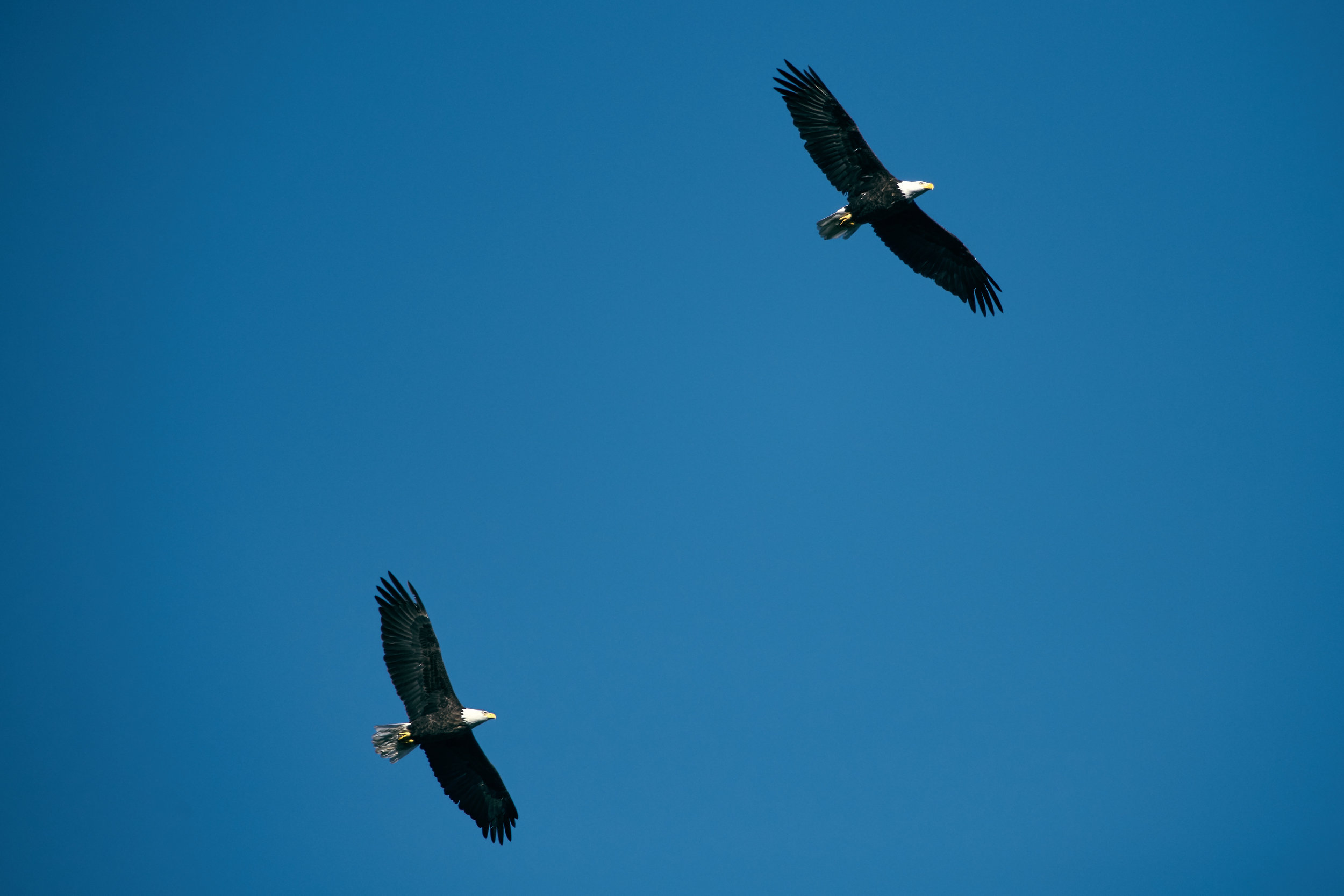 DSC_3916.jpg