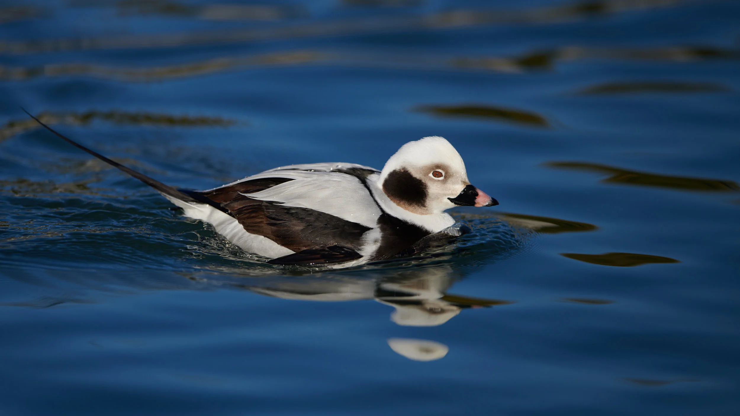 DSC_7931.jpg