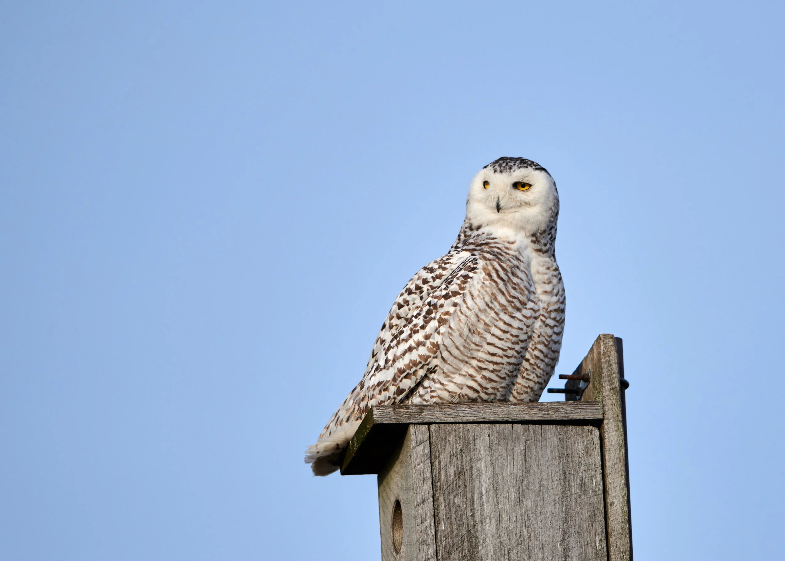 DSC_9866_1.jpg