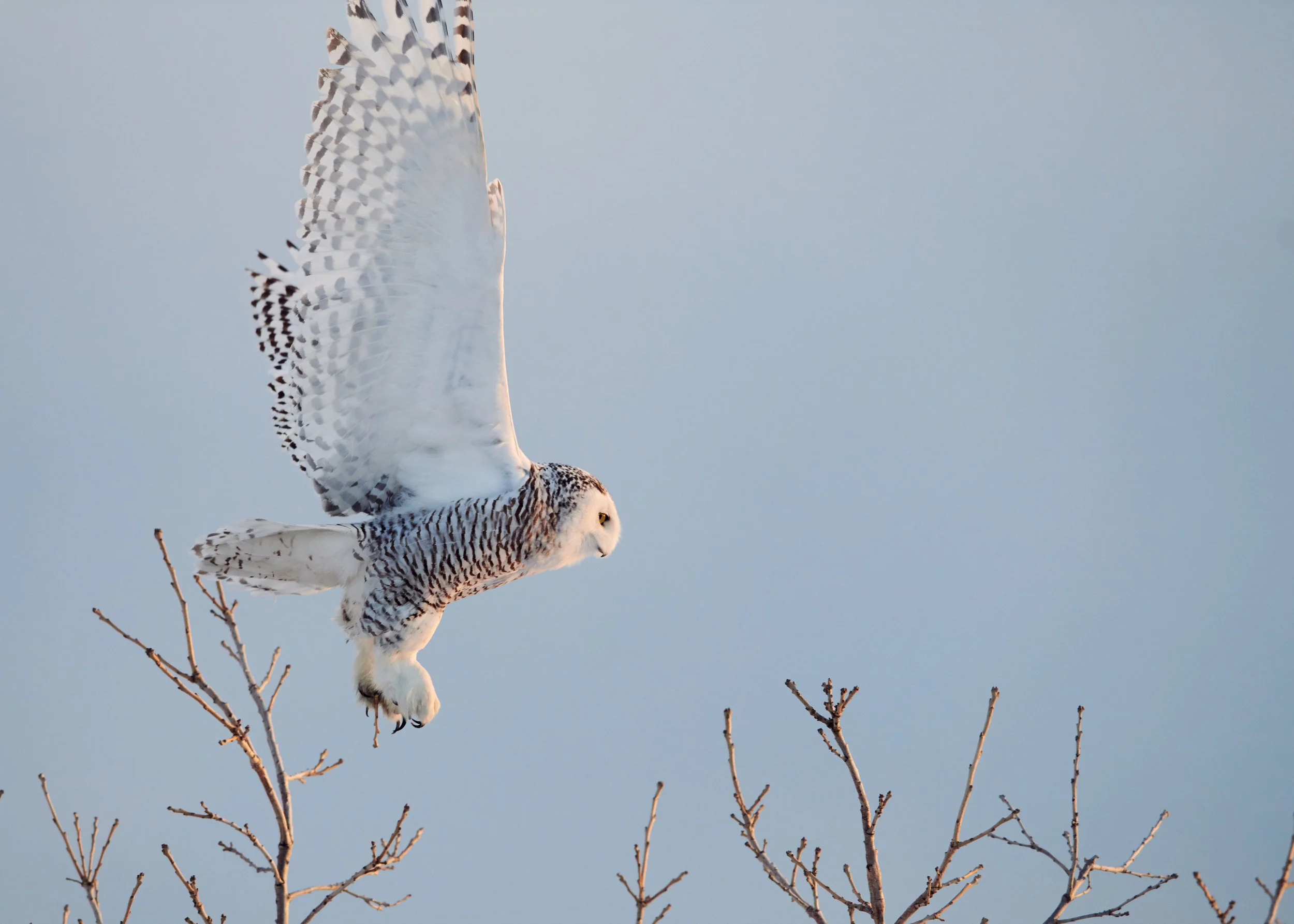 DSC_4727_2.jpg