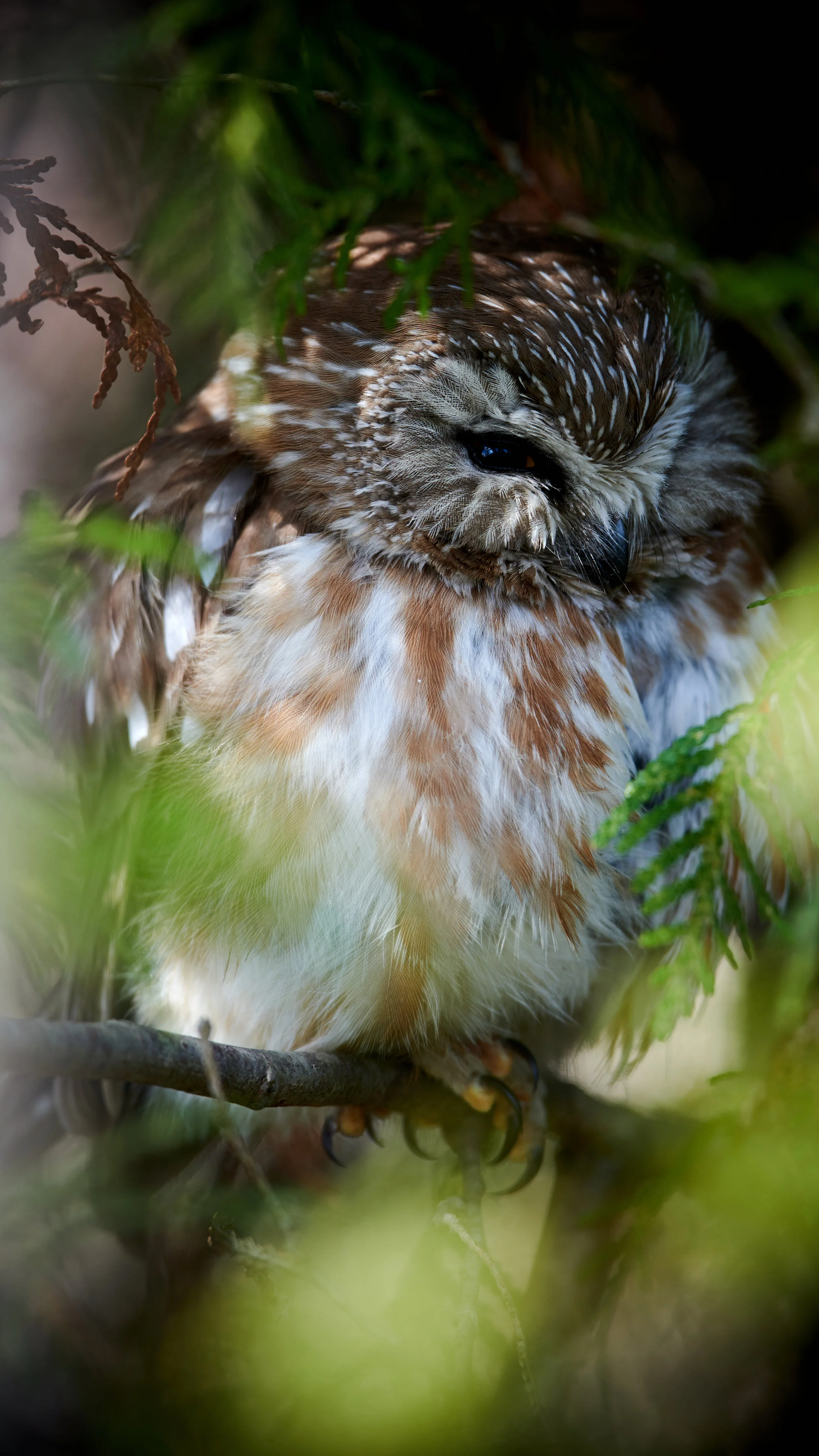 DSC_7641_2.jpg