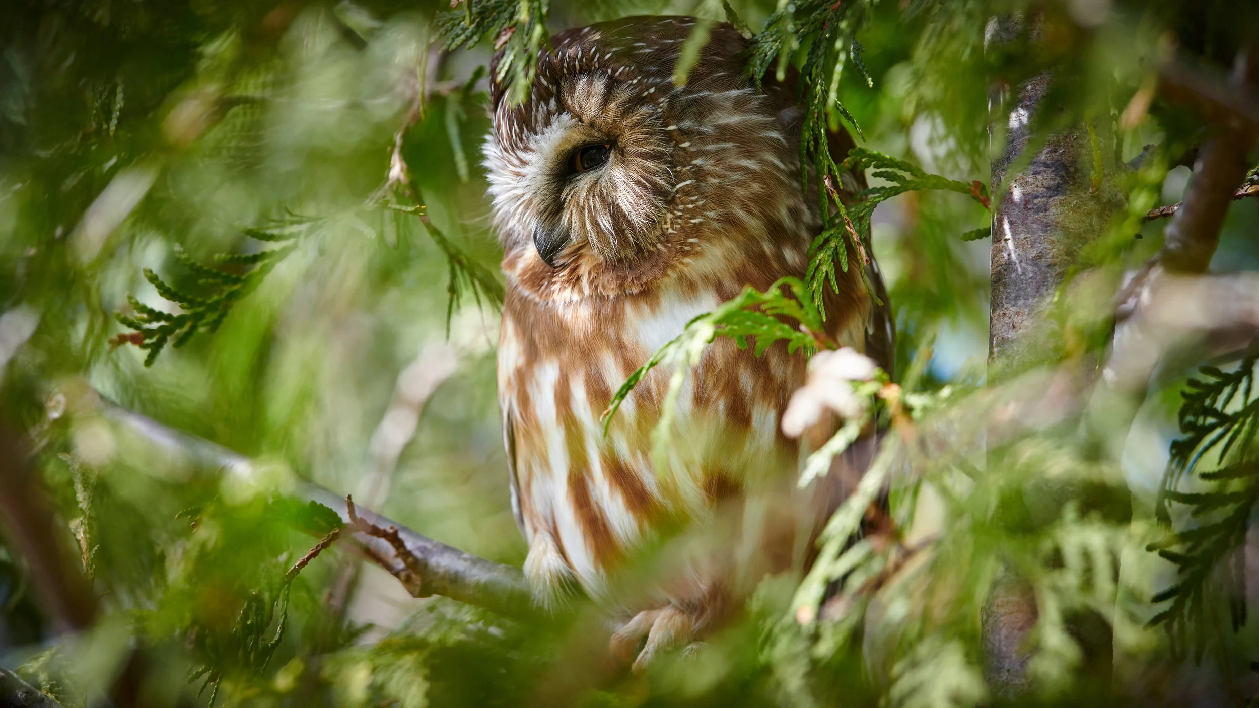 DSC_5347_2.jpg