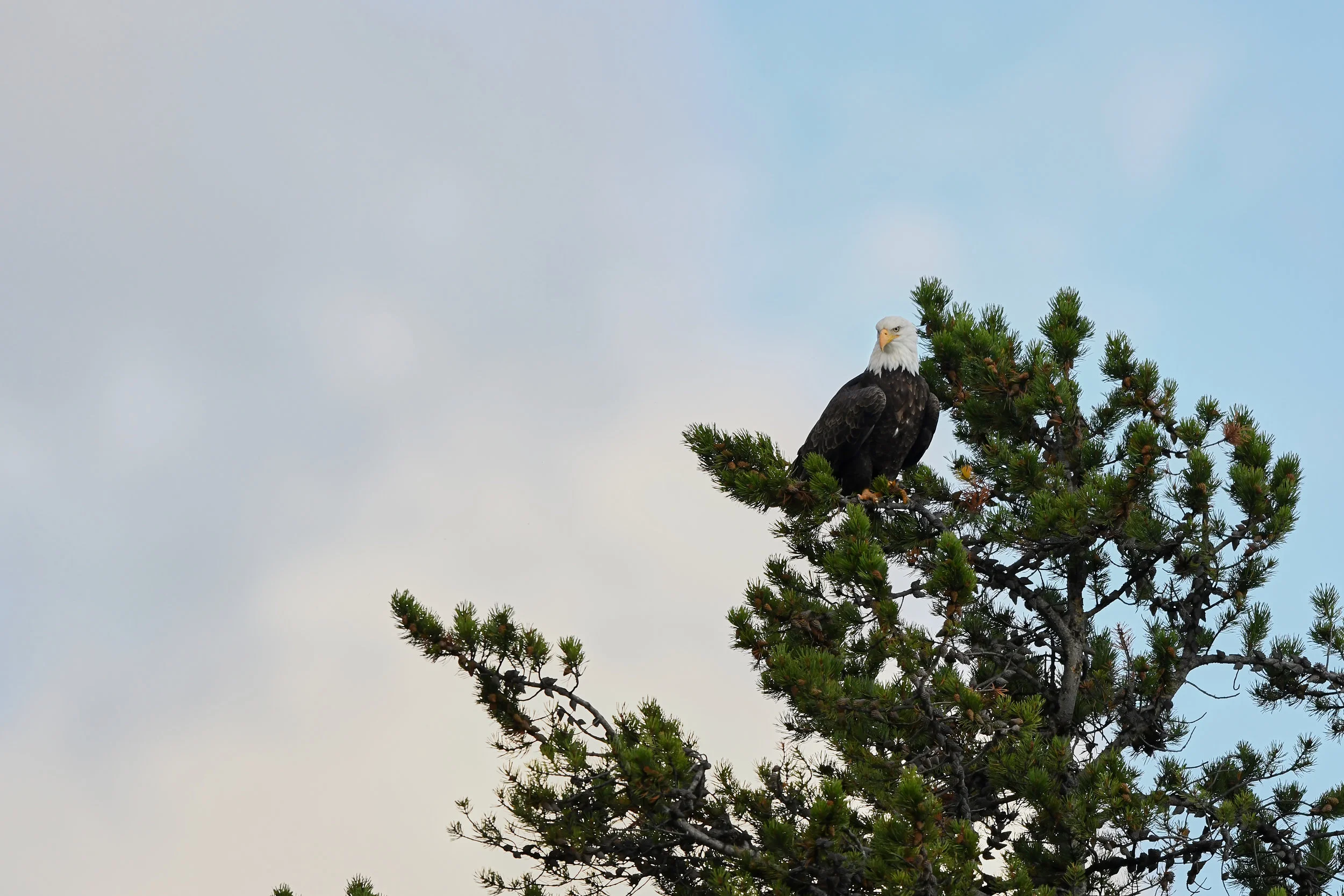 DSC_2477.jpg