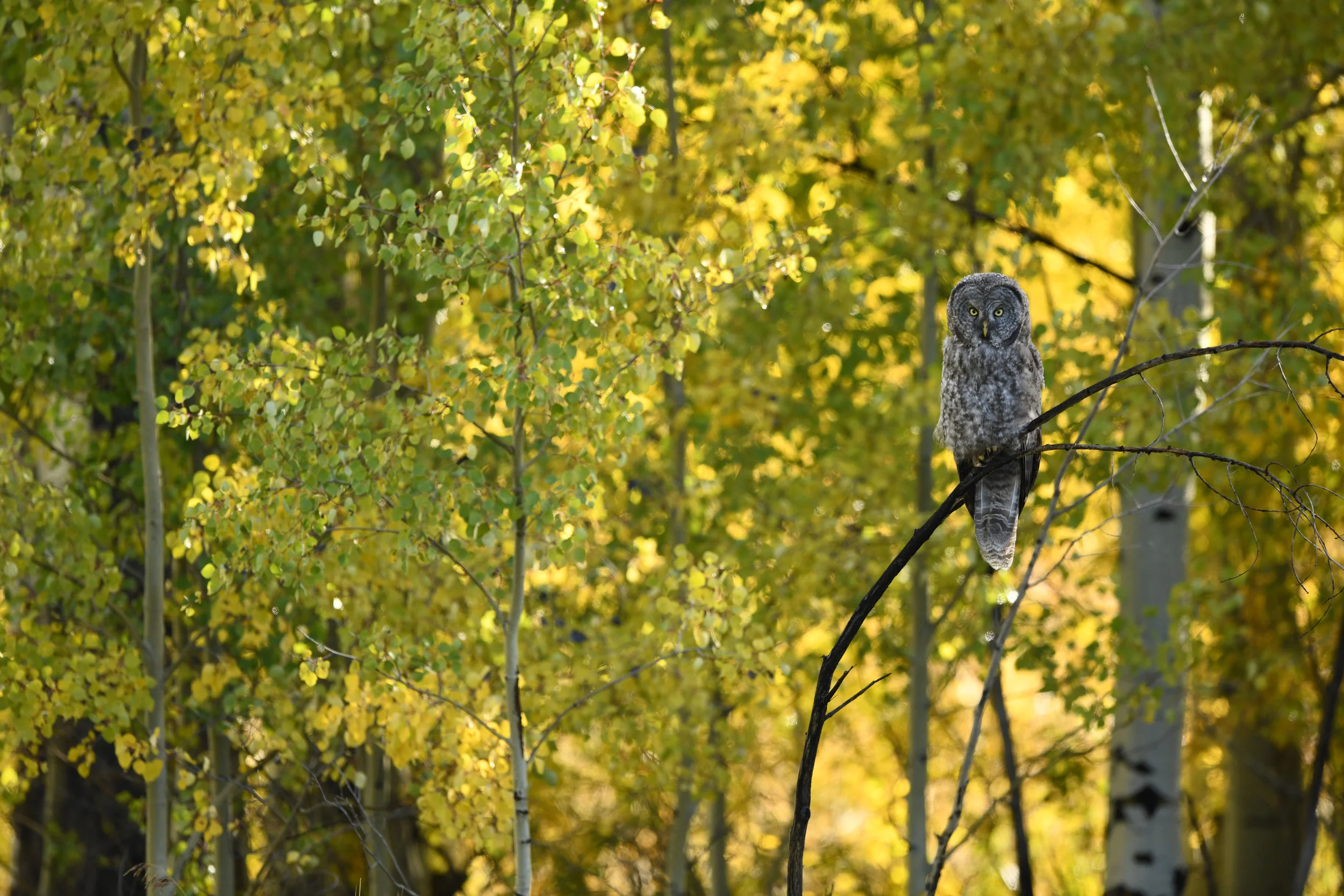 DSC_3299.jpg