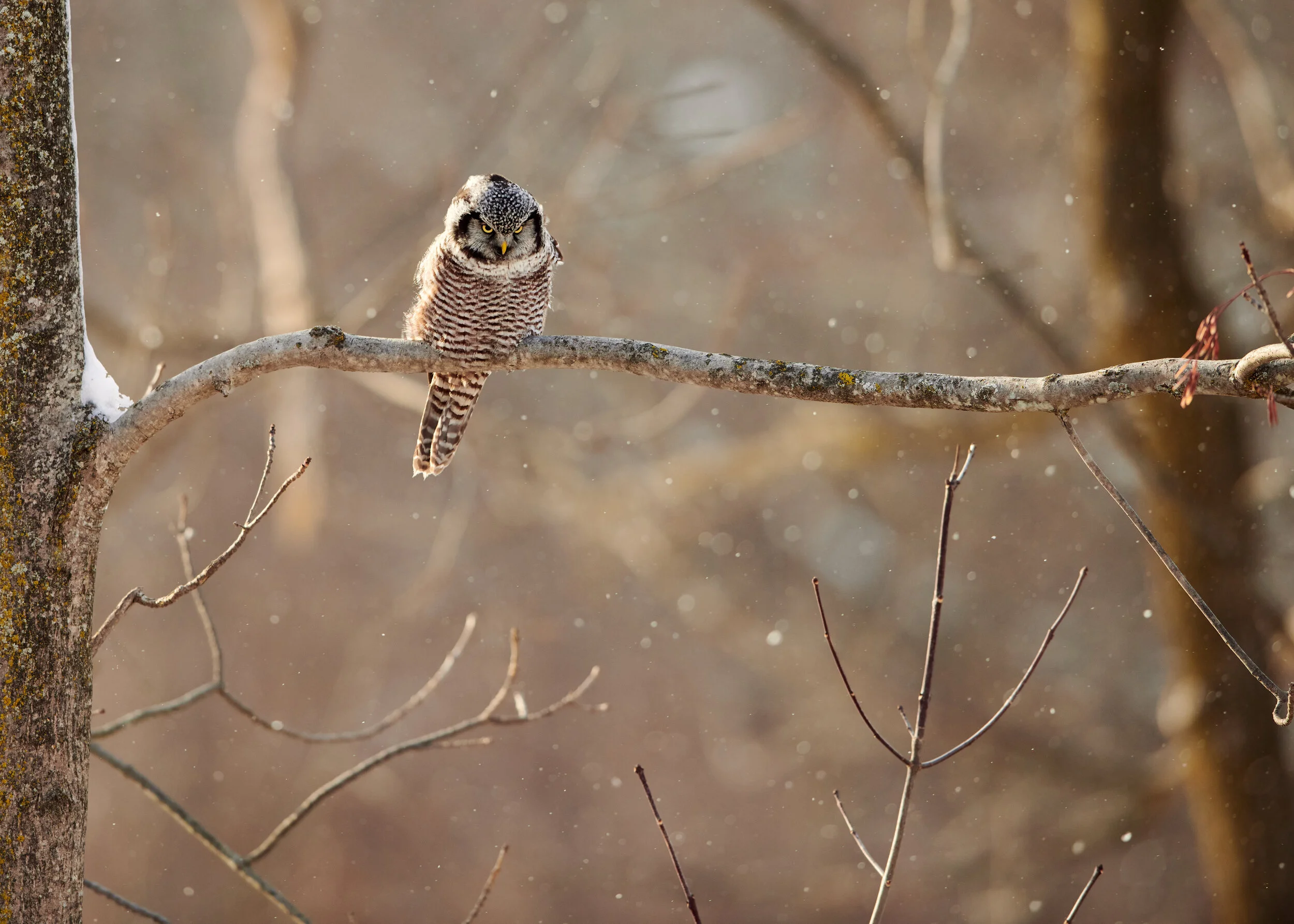 DSC_5845.jpg