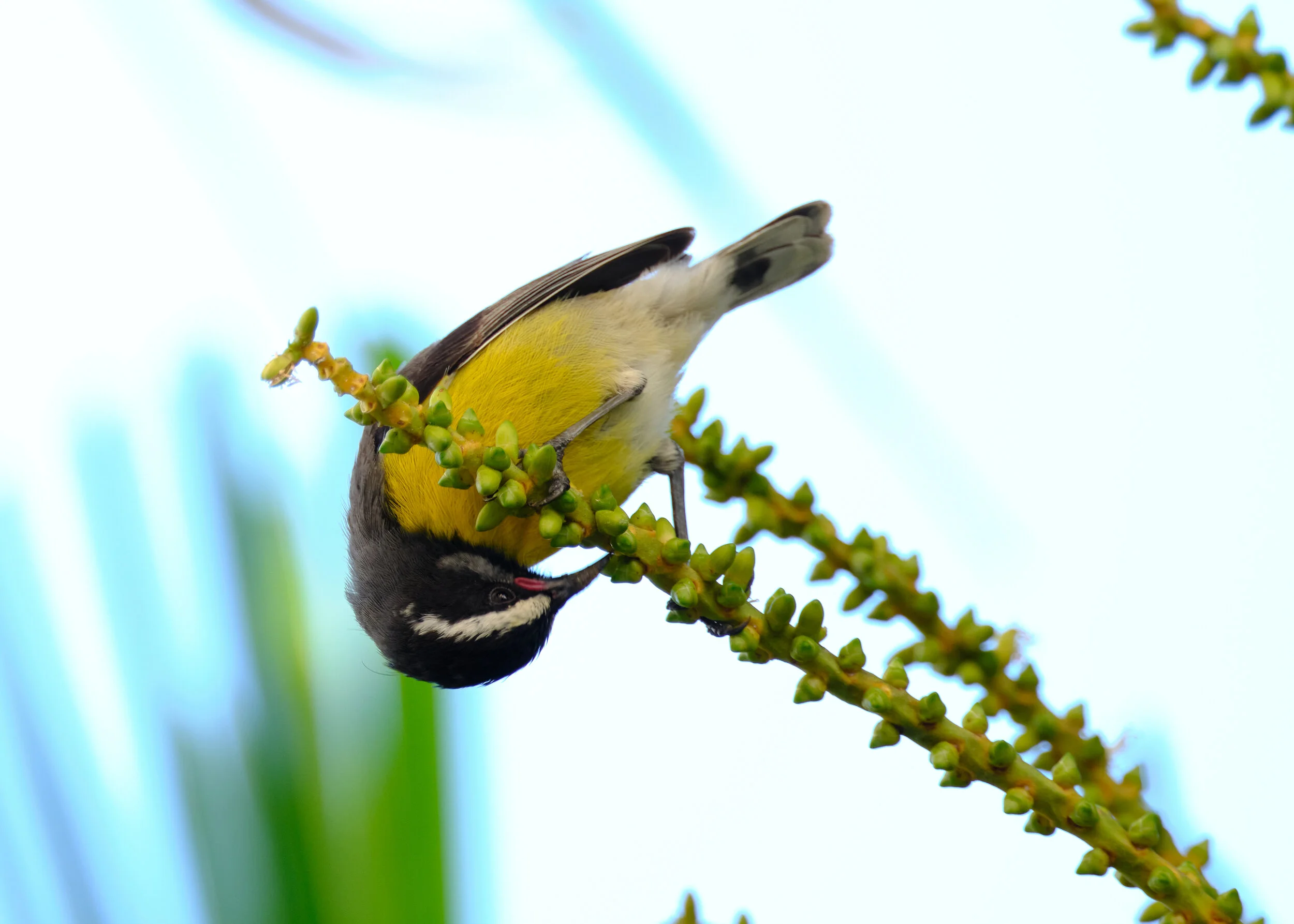 DSCF4580.jpg