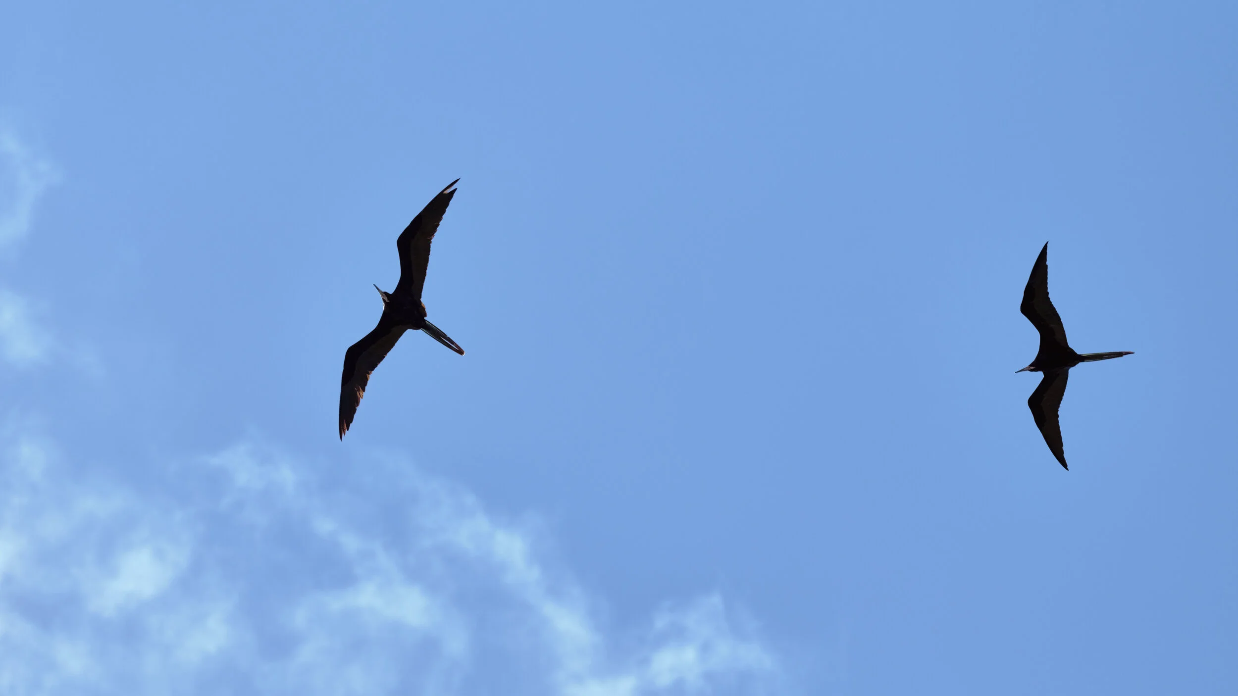 DSCF5270.jpg