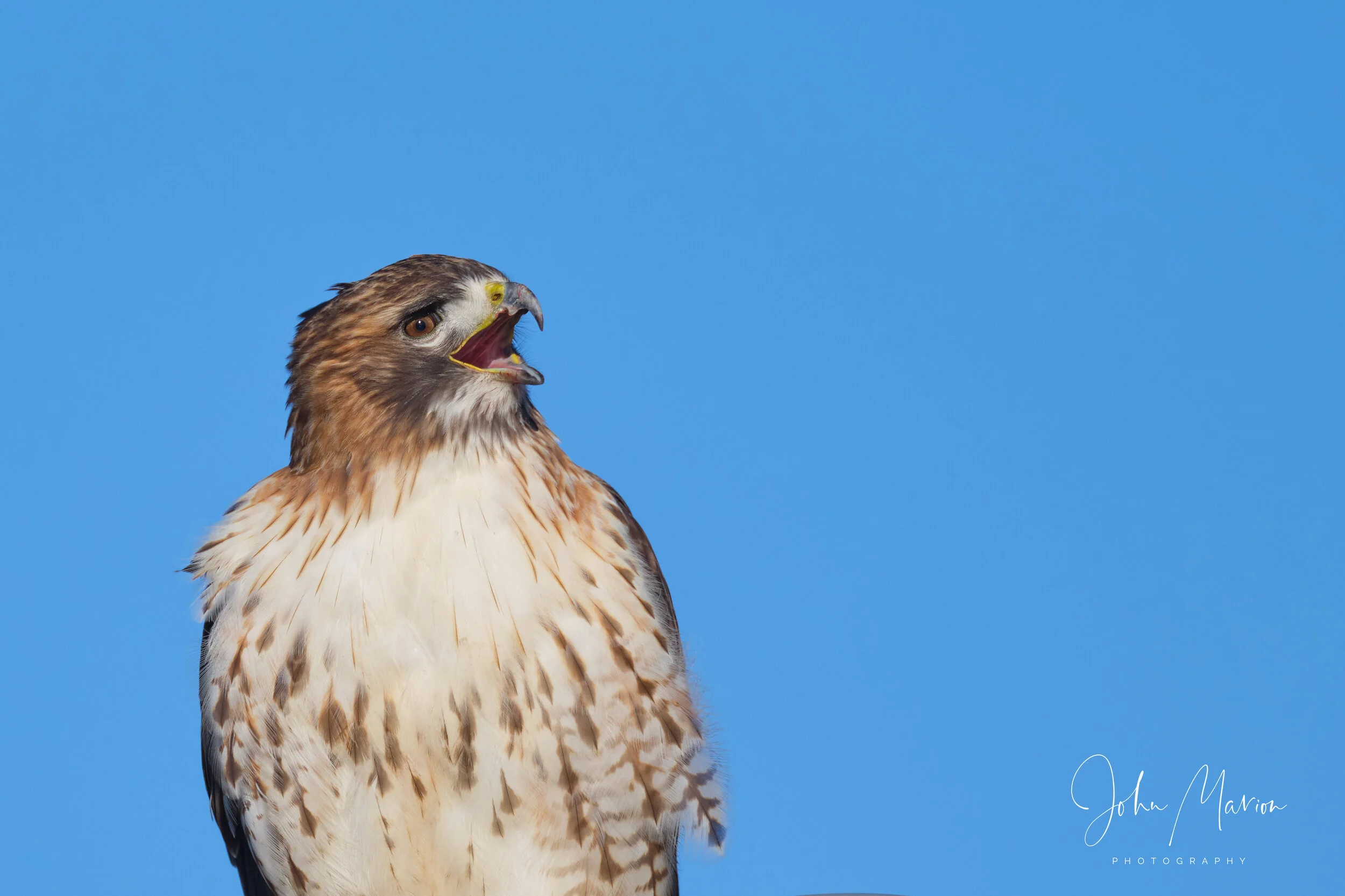 DSCF2297 1.jpg
