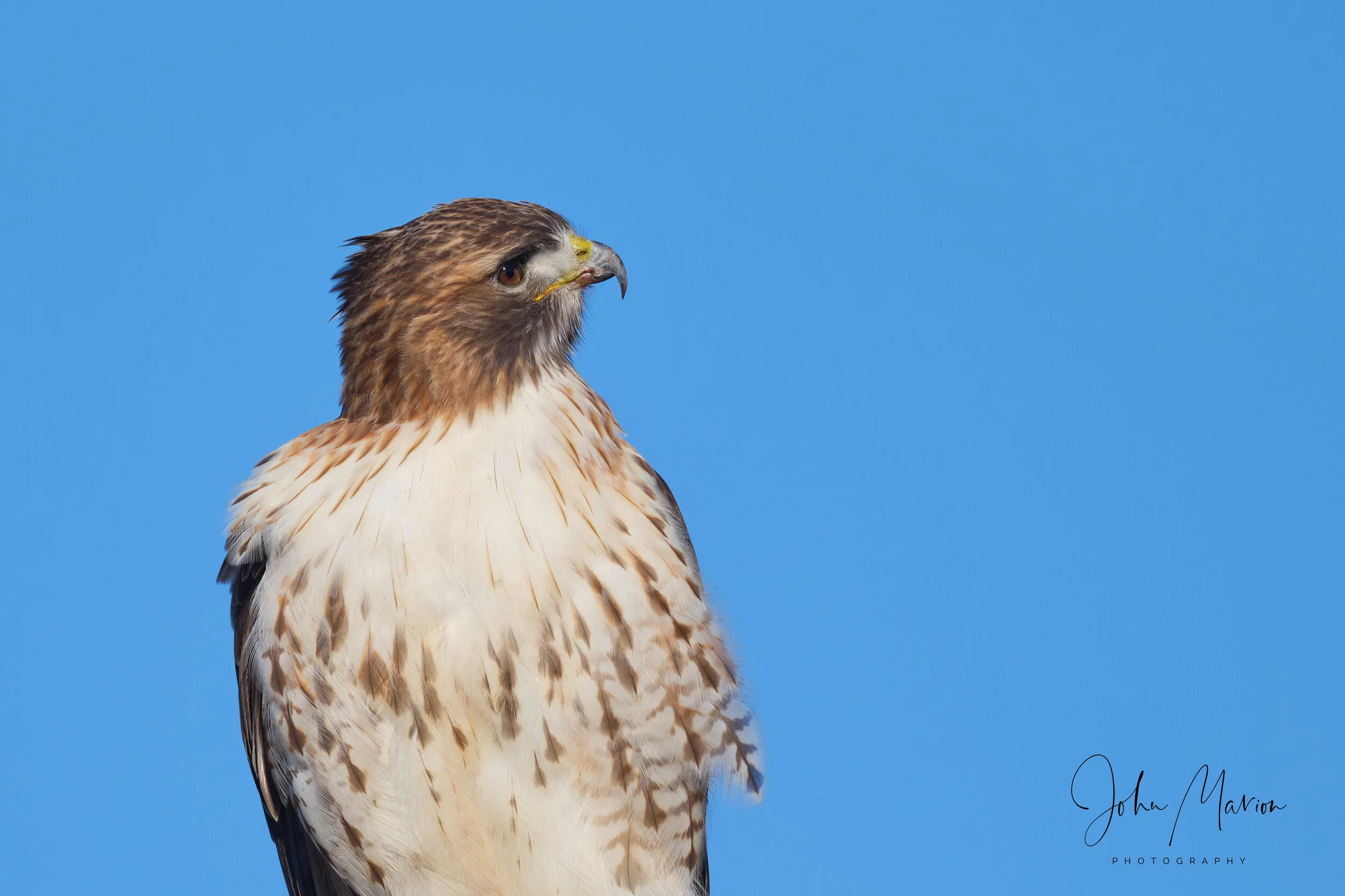 DSCF2272 2.jpg