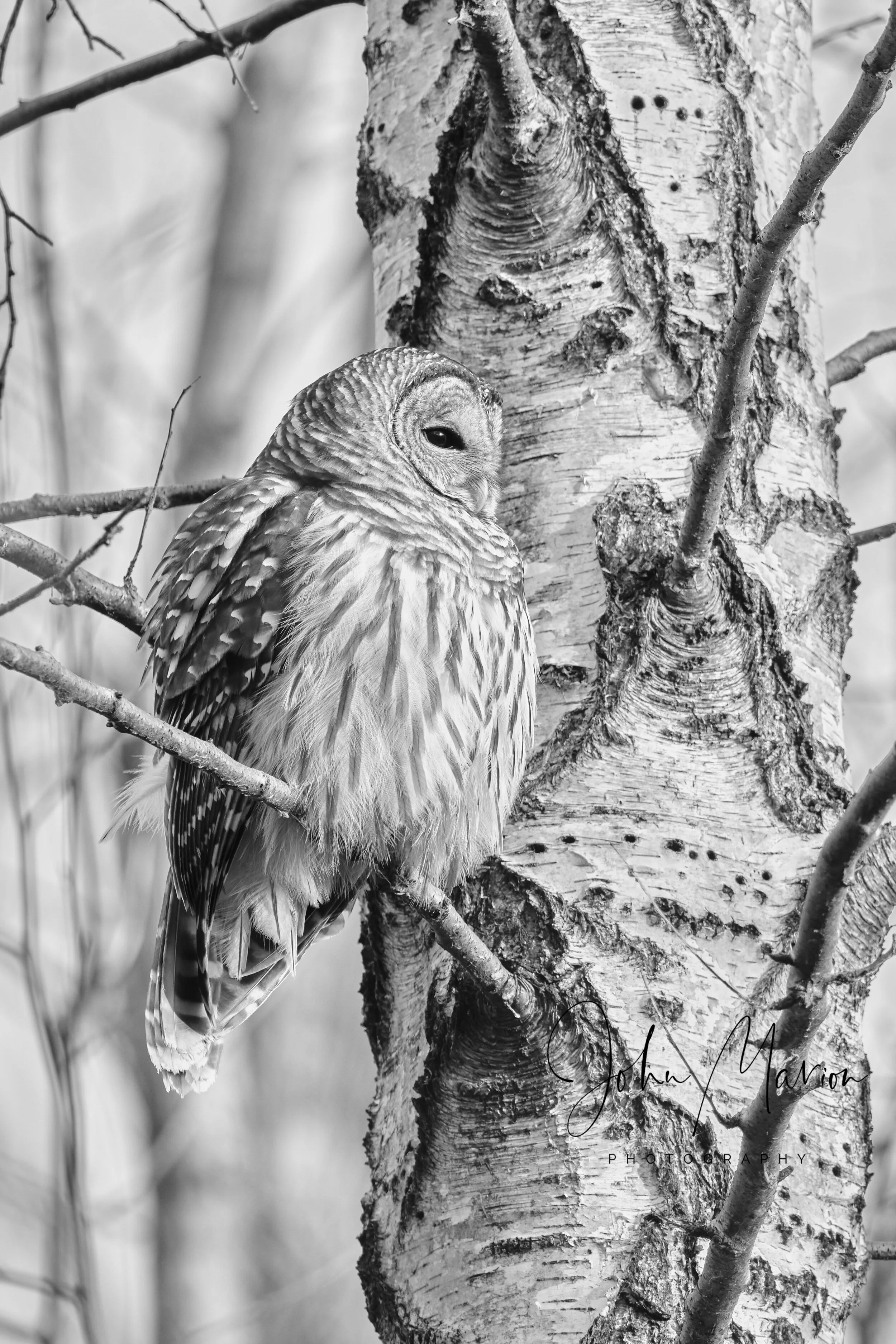 DSCF0173 9.jpg