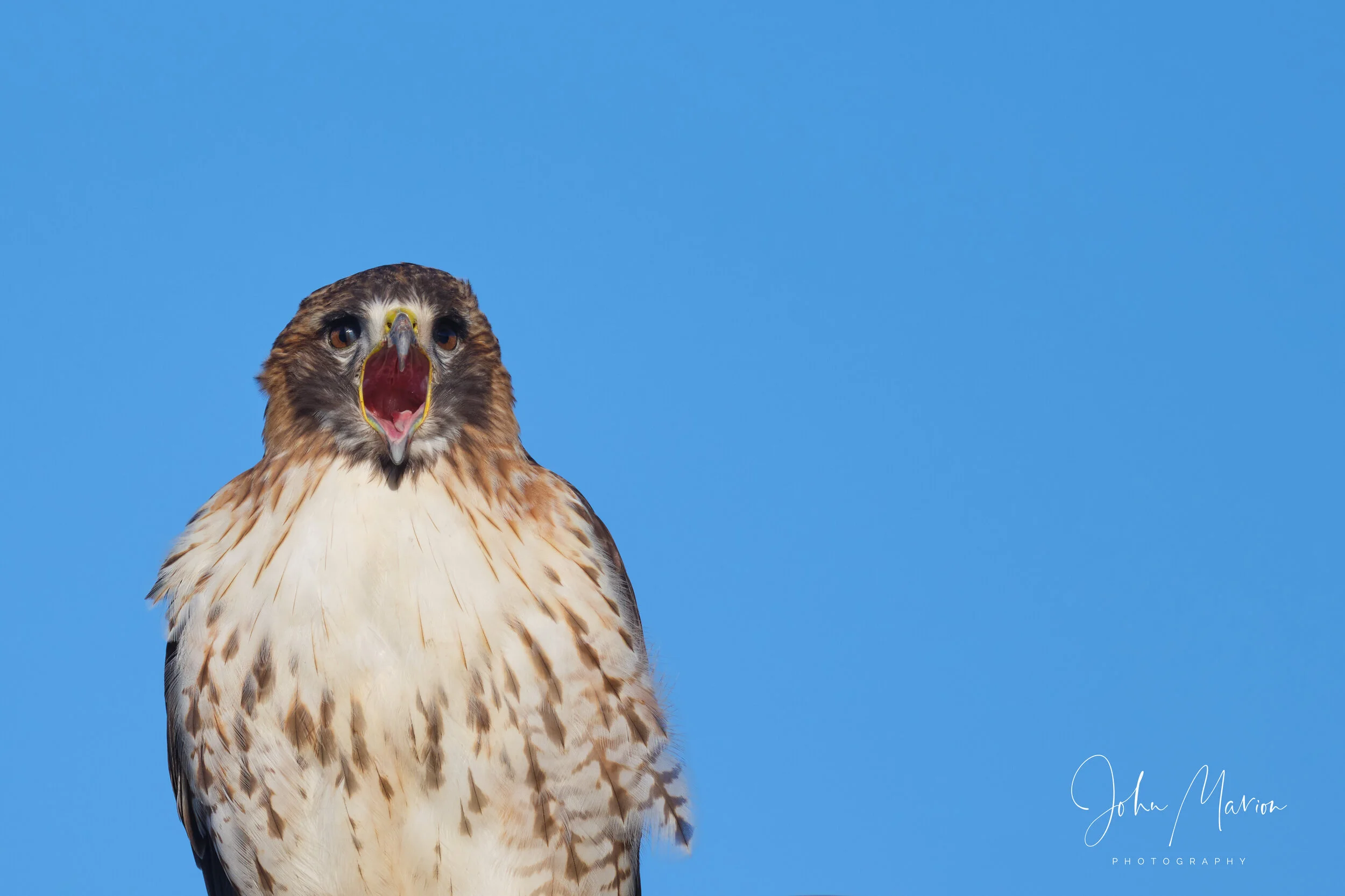 DSCF2295 1.jpg