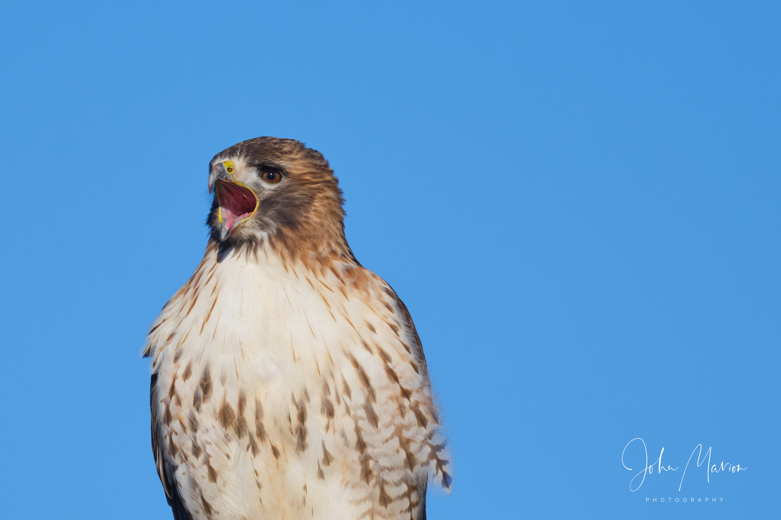 DSCF2293 1.jpg