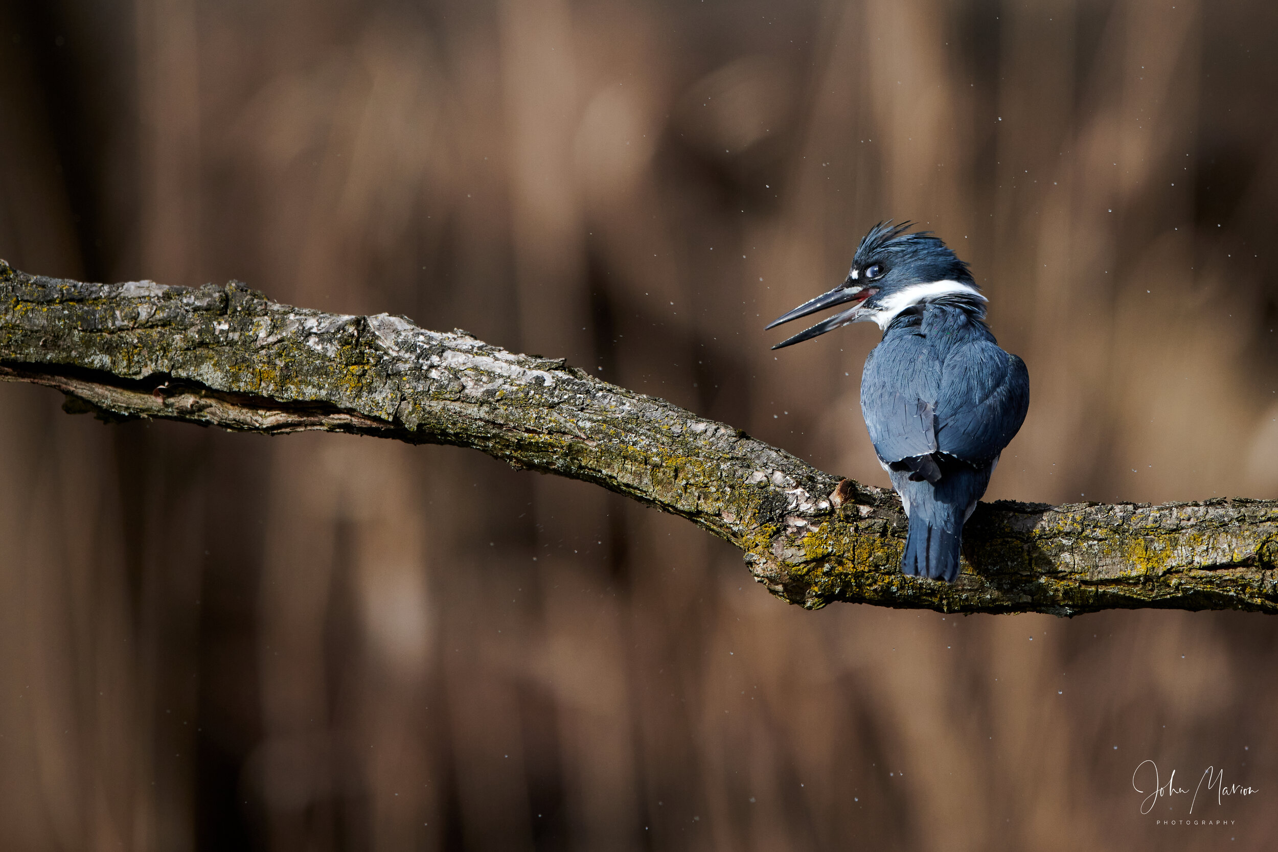 DSC_3407.jpg