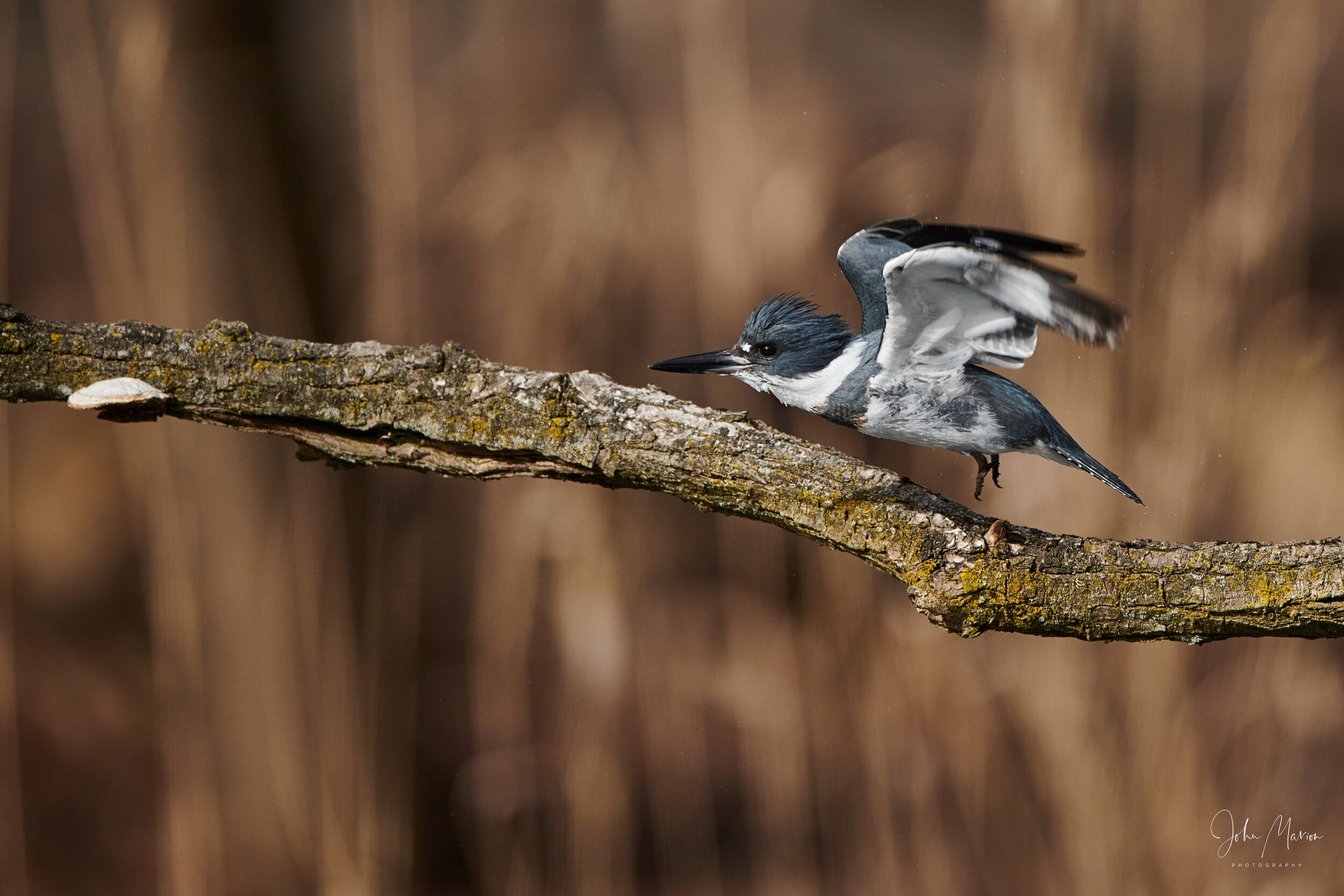 DSC_3415 1.jpg