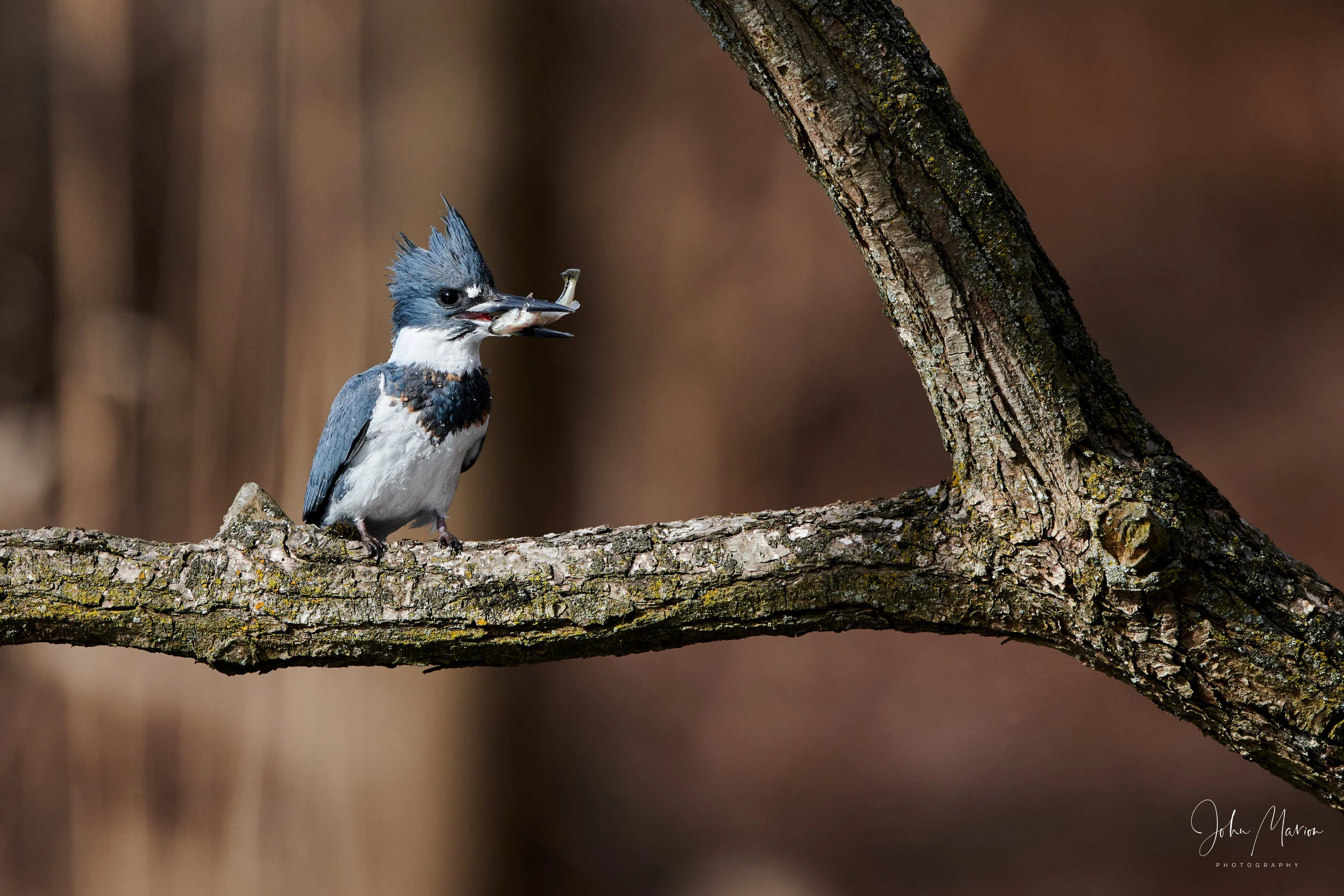 DSC_3453.jpg