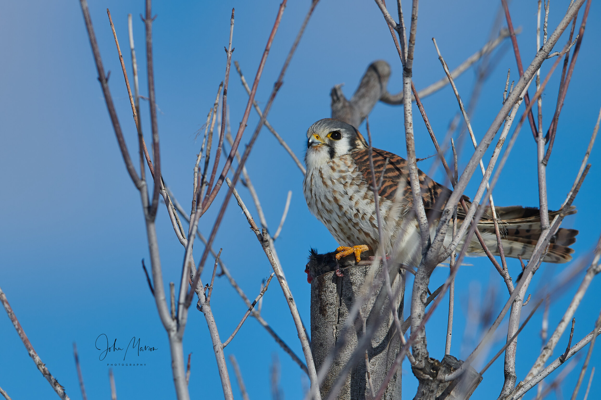 DSC_4153 2.jpg