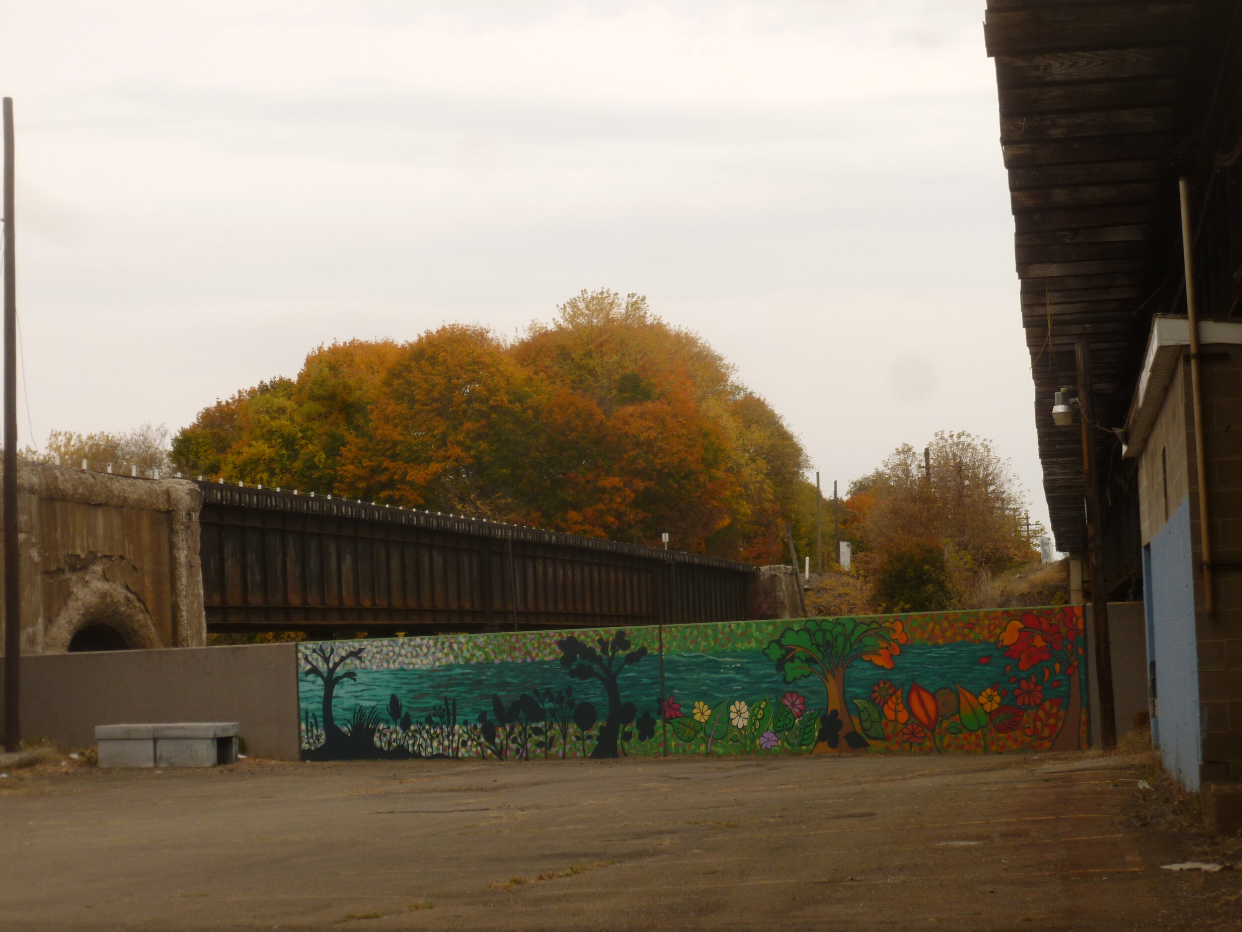 2015-10-26 Fall foliage c.JPG