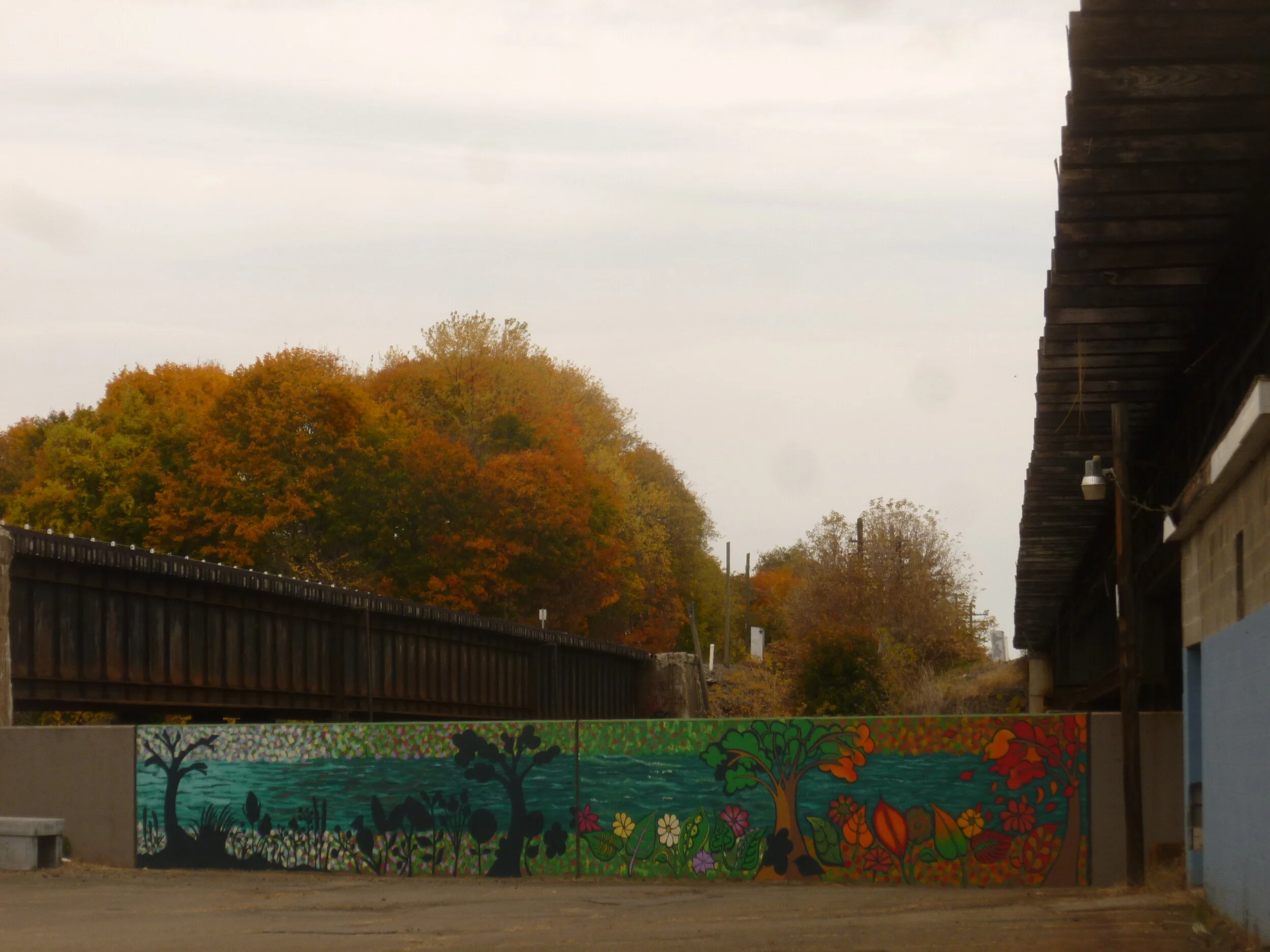 2015-10-26 Fall foliage.JPG