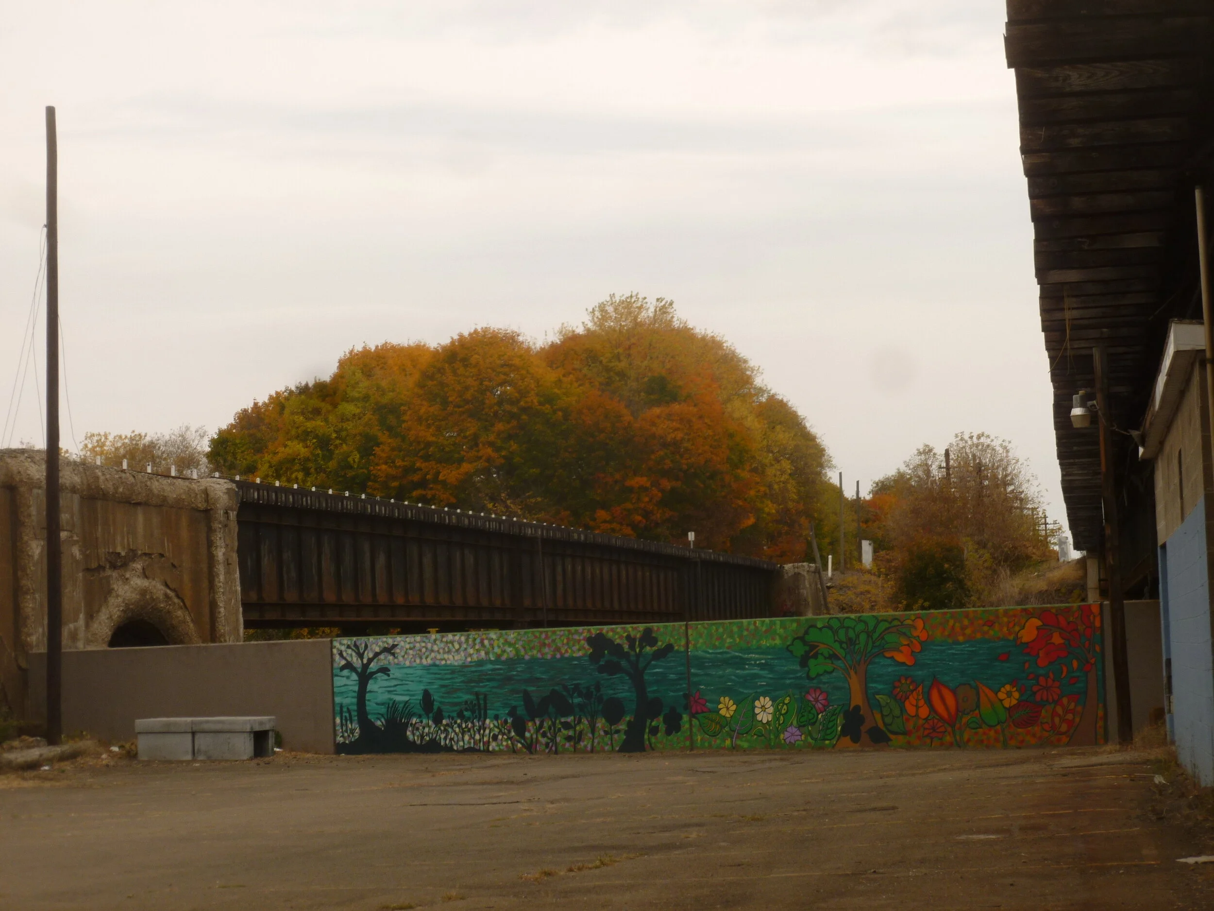 2015-10-26 Fall folliage b.JPG