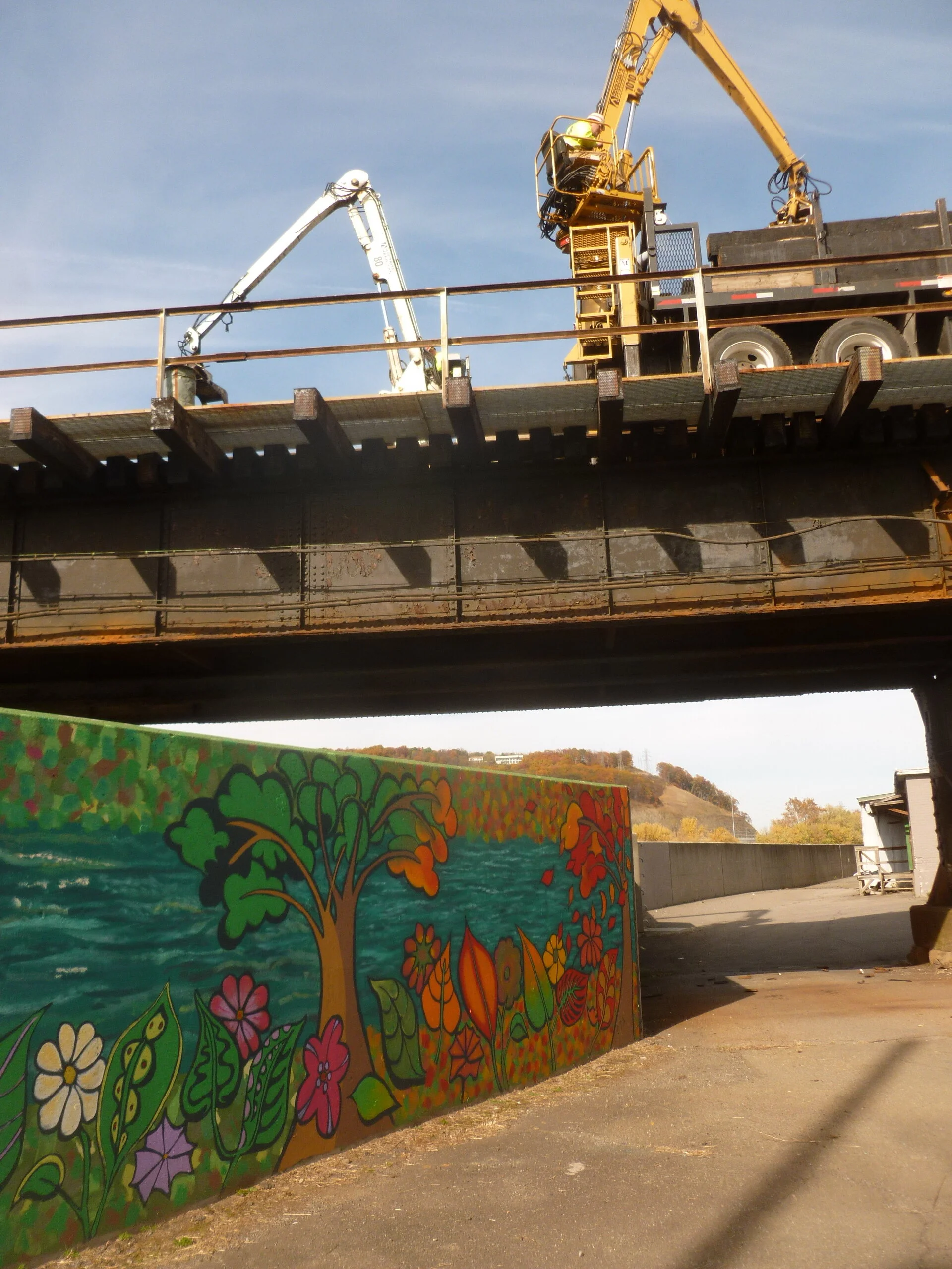 2015-10-27 Summer Fall.JPG