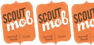 scout-mob-1.jpg