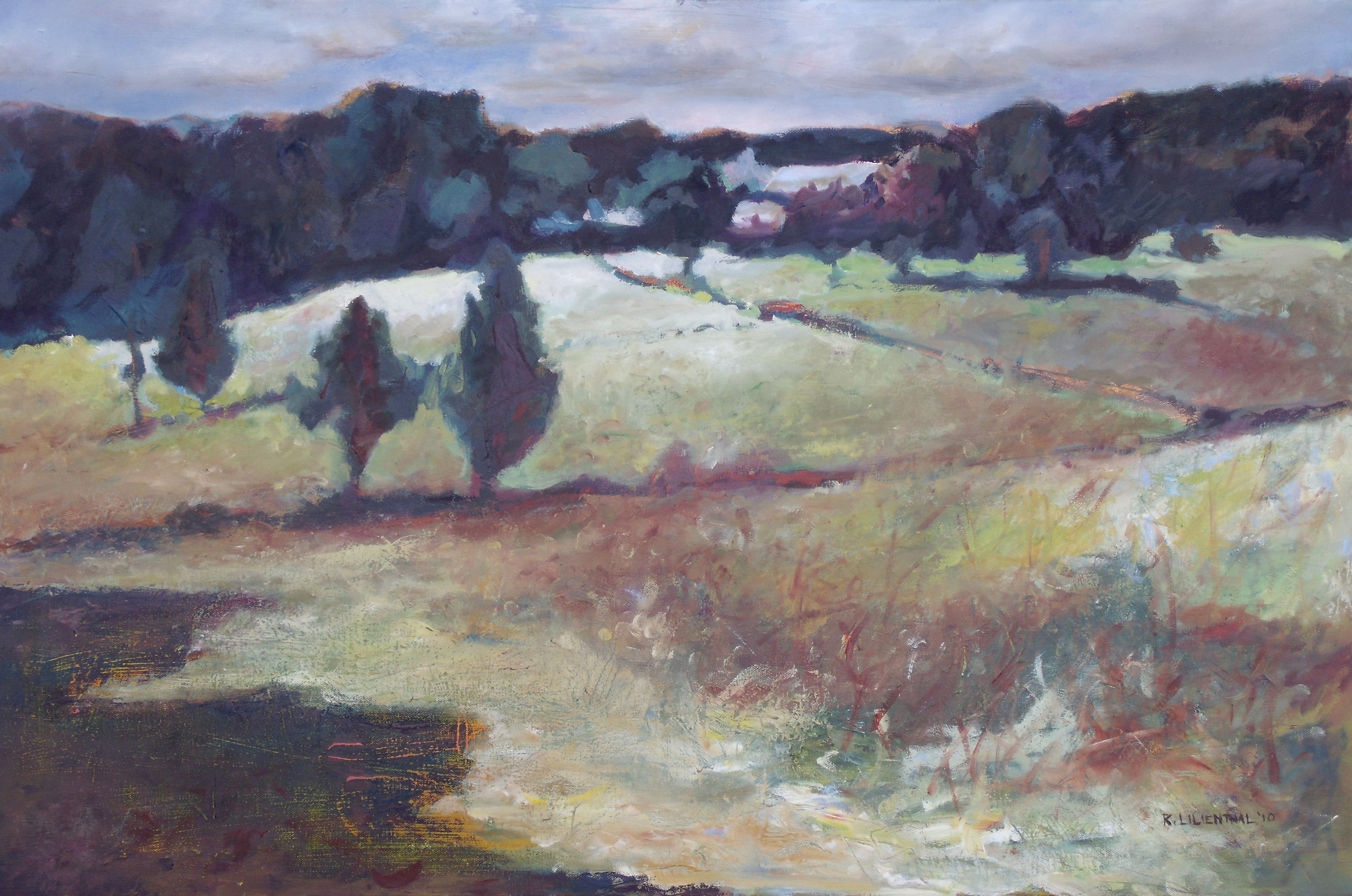 Coventry Farm Landscape.JPG