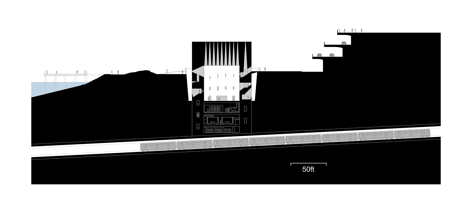 sectionlong copy.jpg