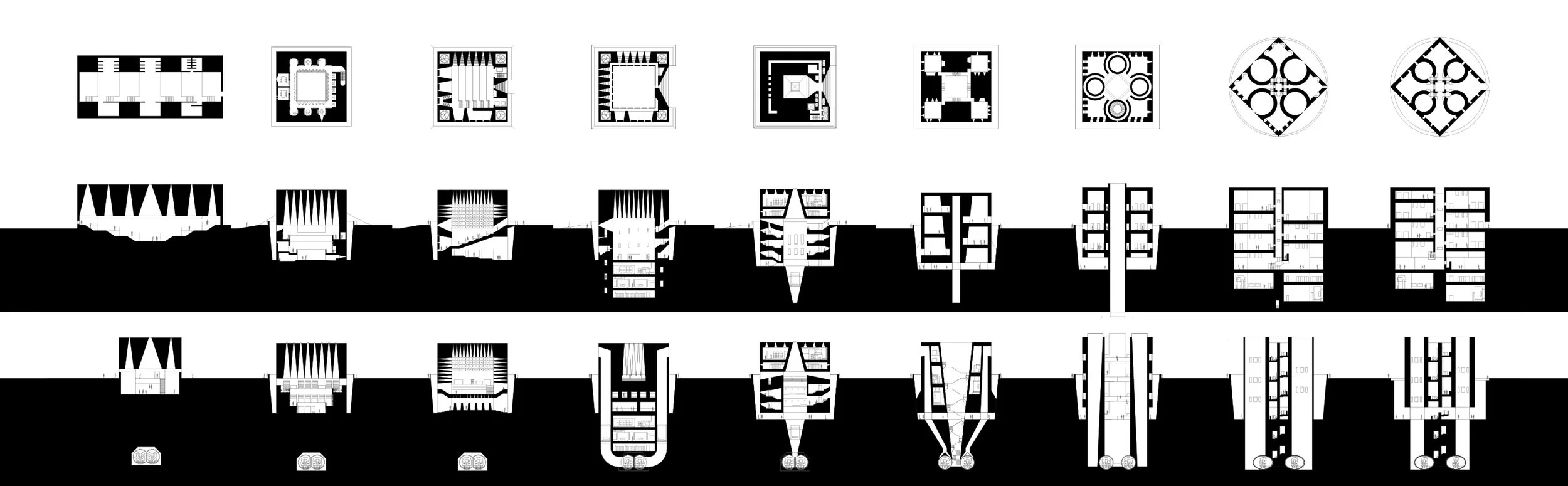 evolution copy.jpg