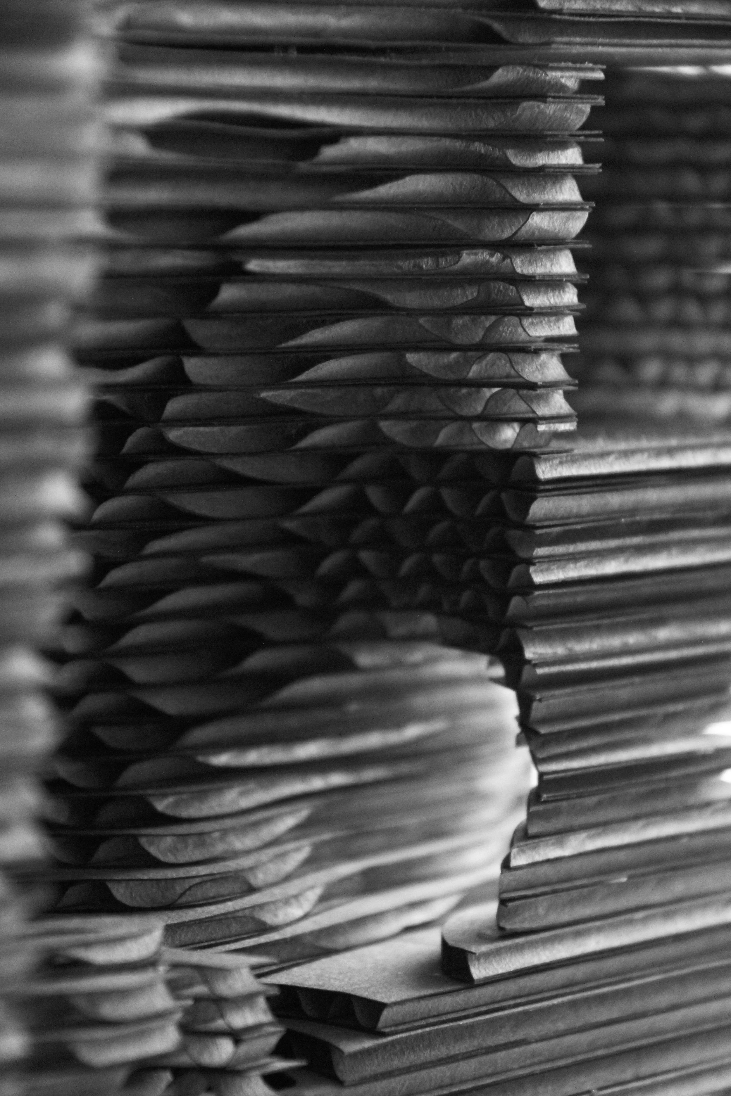 _MG_7510_0980.jpg