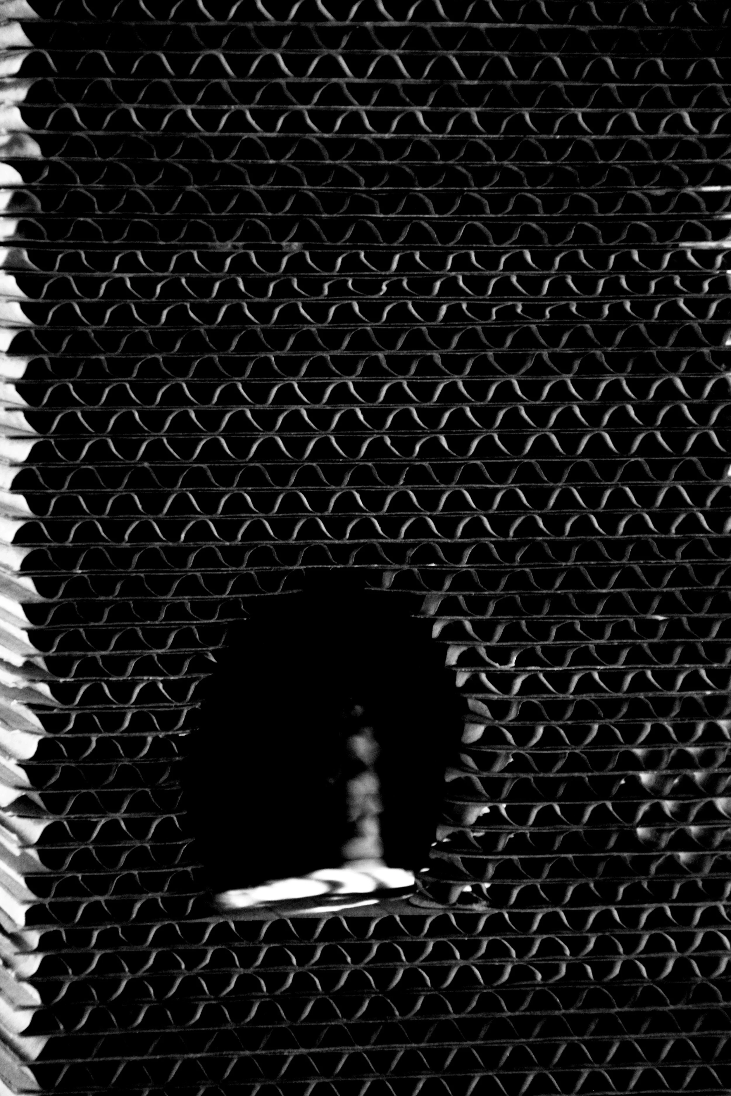 _MG_7487_0957.jpg