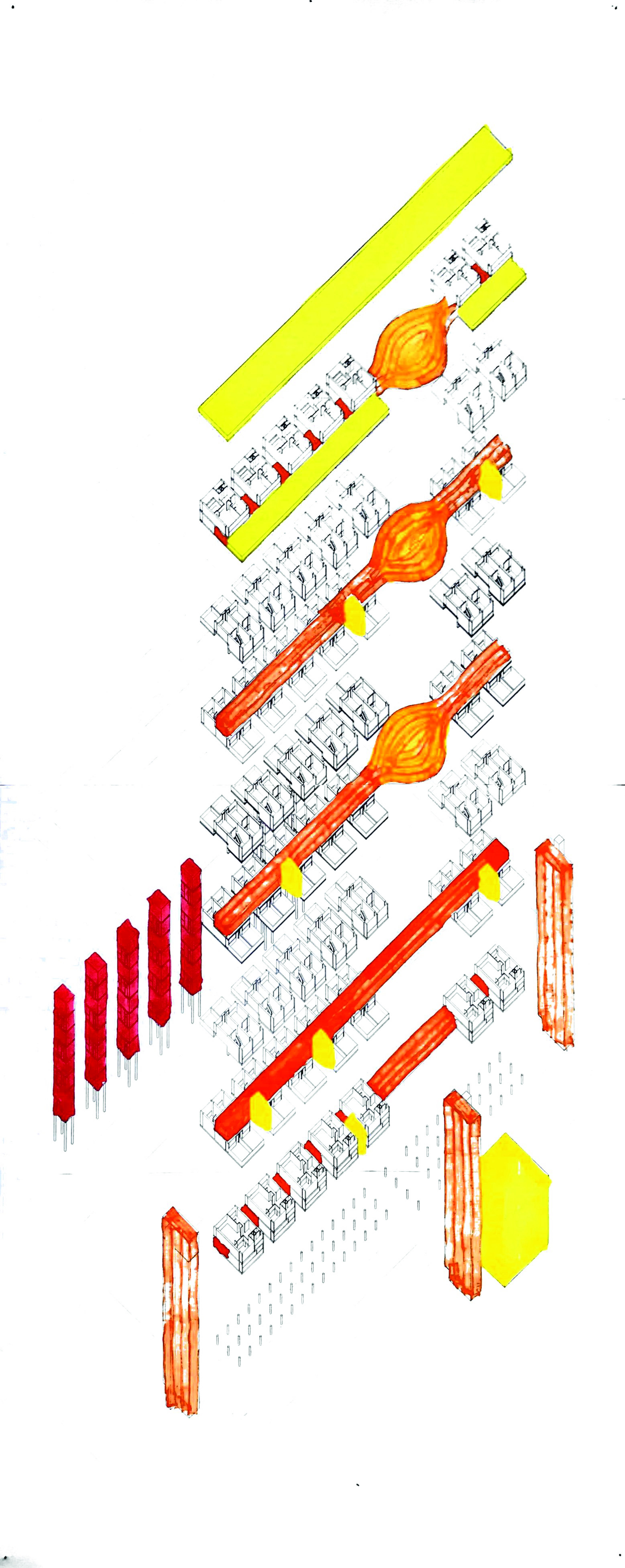 manipulated axon.jpg