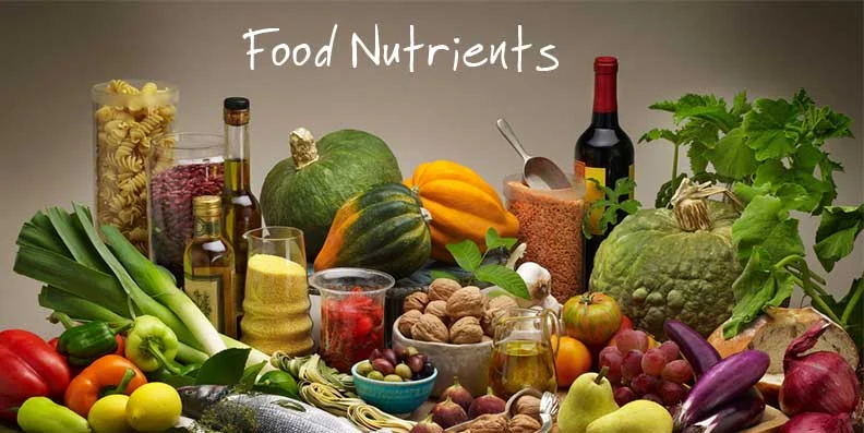 food-nutrients.jpg
