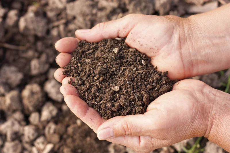 soil-in-hands-optibac-probiotics.jpg
