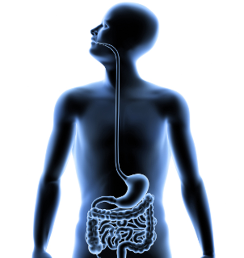 OralWellness.com