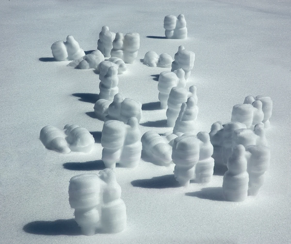  Snow Bulbs, 2014, Ink Jet, 12" x 10" 