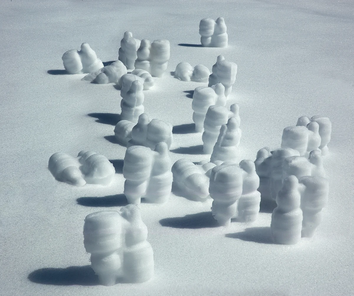 Snow Bulbs, 2014, Ink Jet, 12" x 10"
