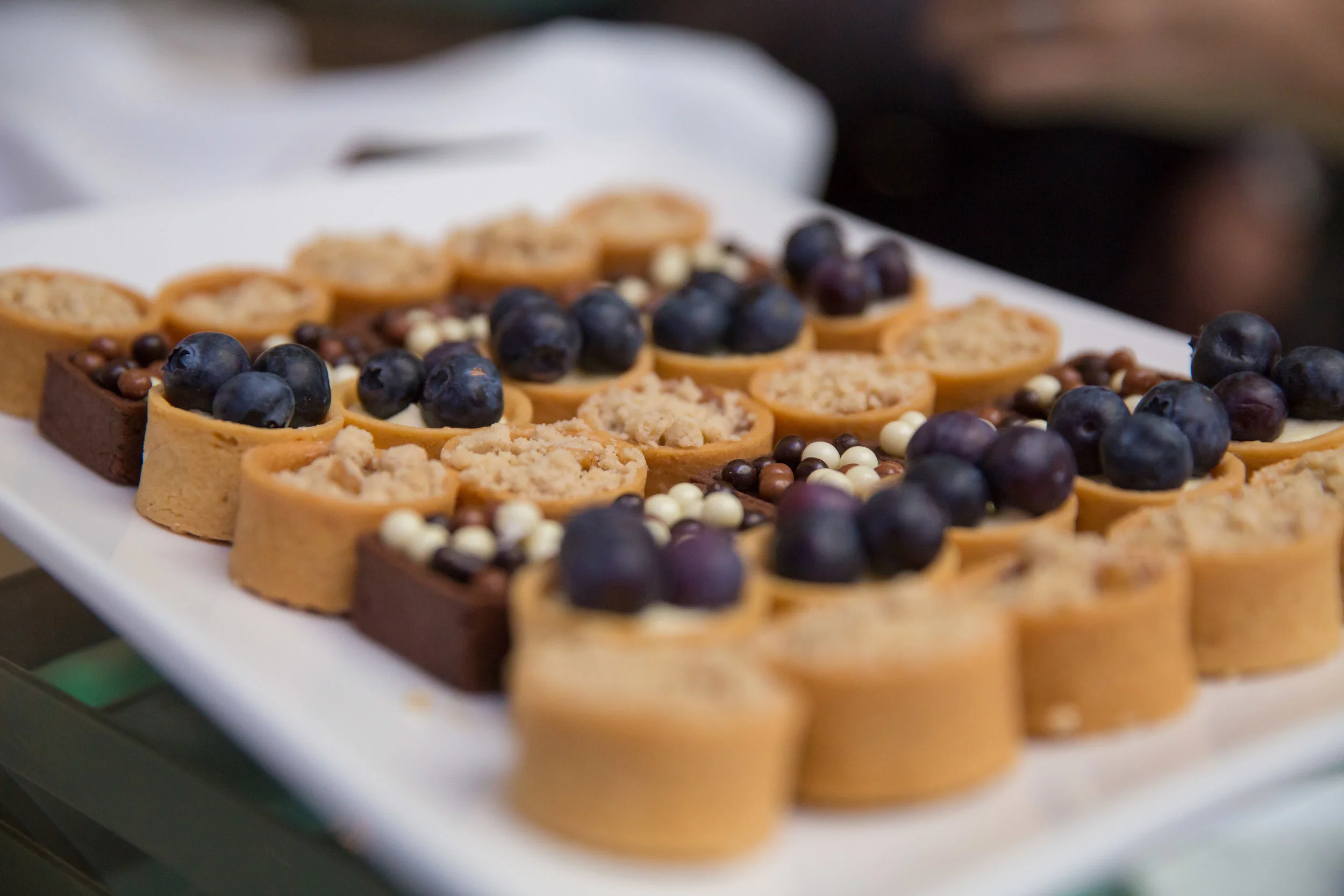 WCGBHH2015-0103.jpg