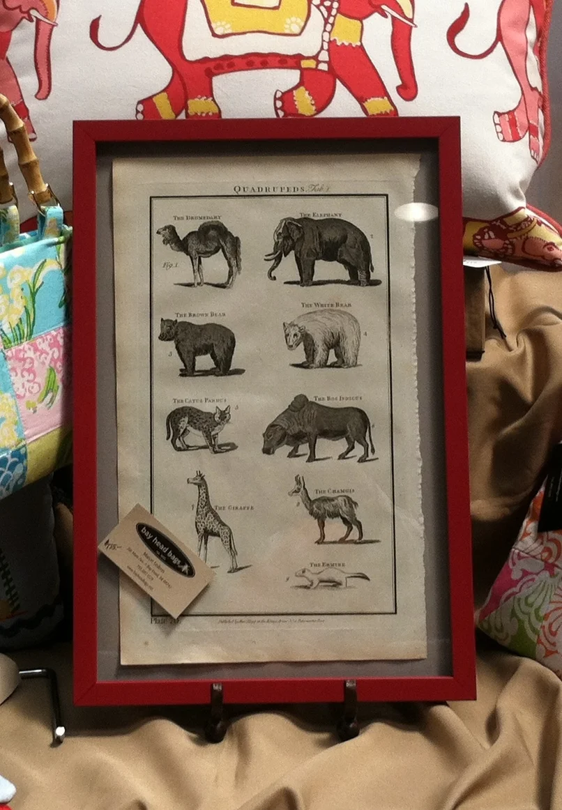 Photo May 03, 1 15 28 PM.jpg