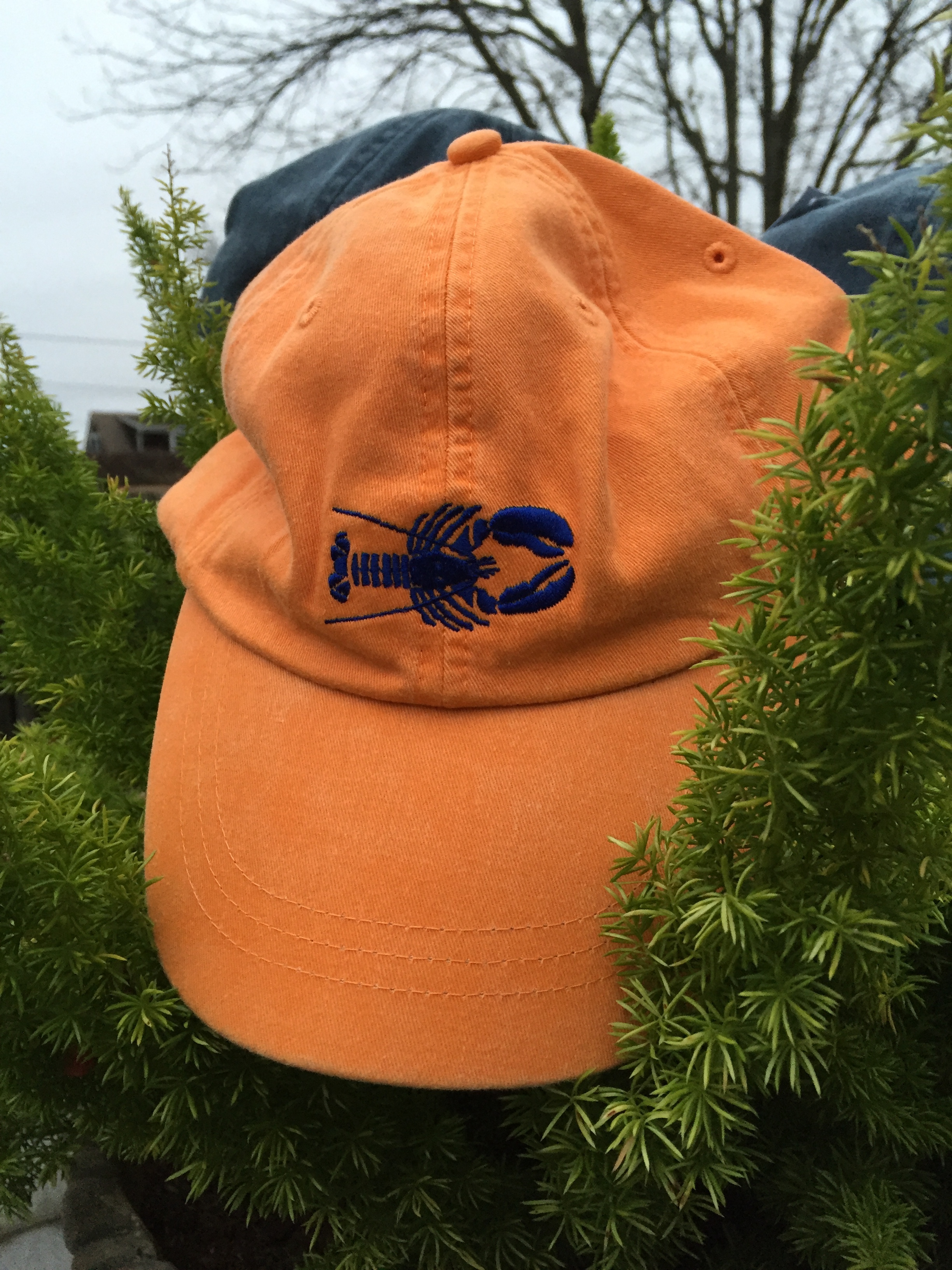 Photo Dec 30, 4 12 03 PM.jpg