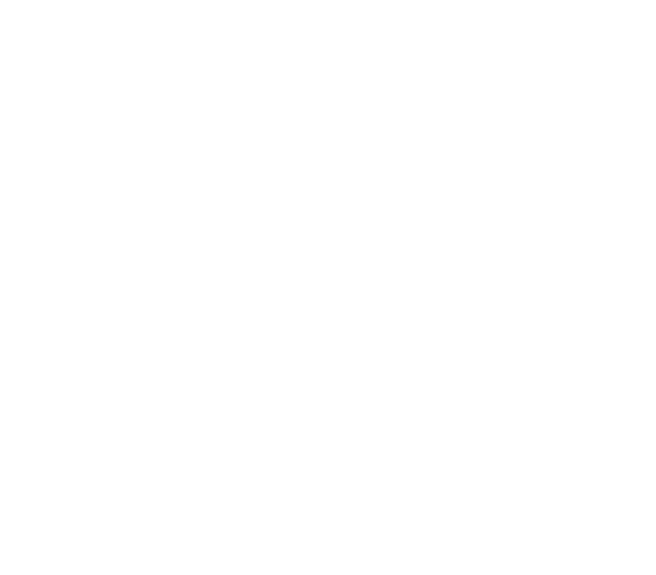 Rotor Riot