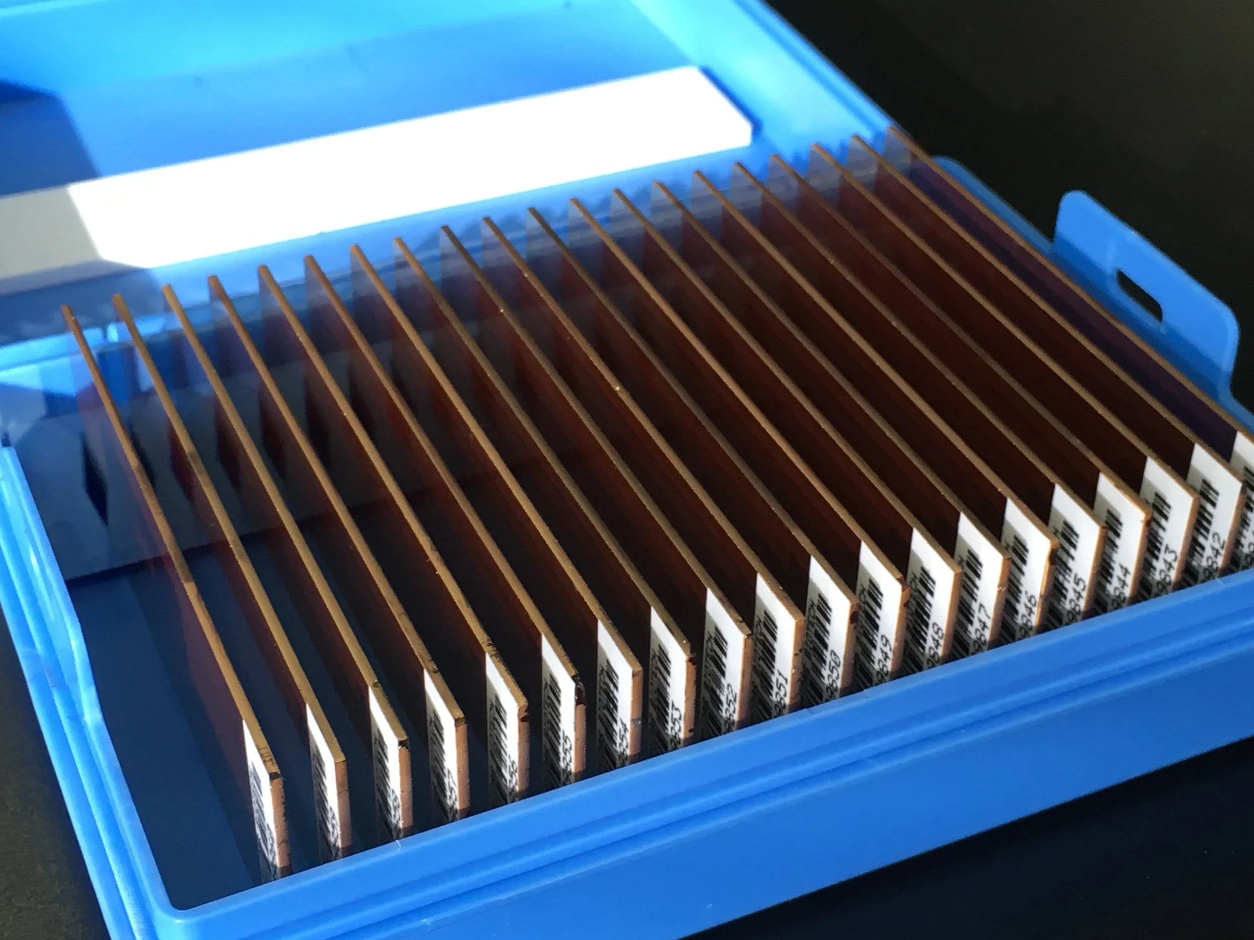 Research ready pGOLD™ slides, qty: 20, also available in qty: 5