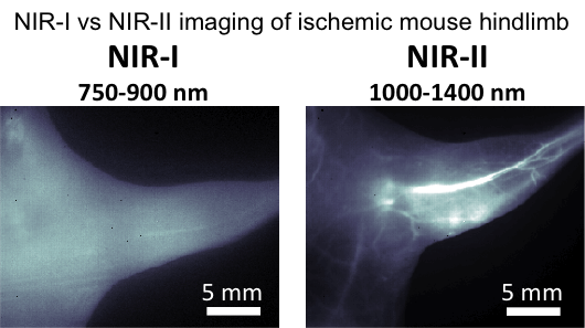 Dye Nir-II Comparison.png