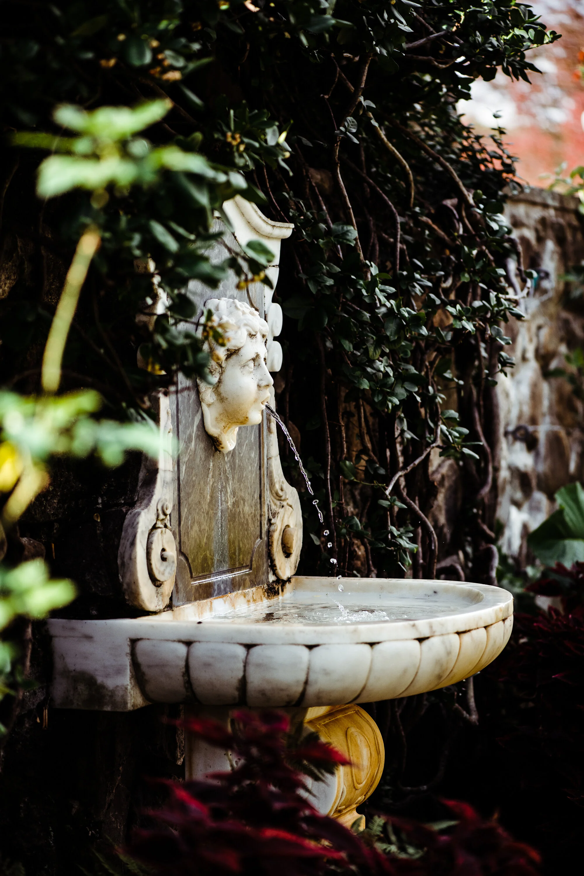 JarrodTim_Blog_032.jpg