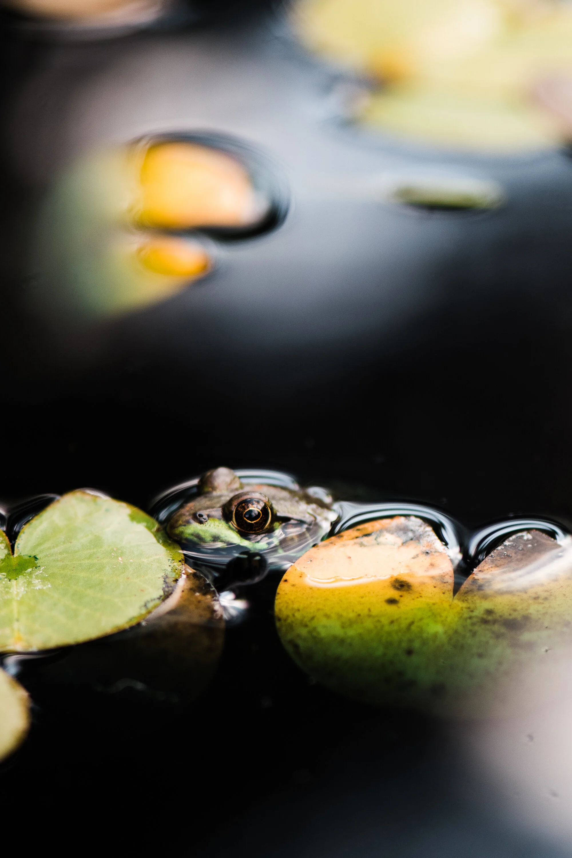 JarrodTim_Blog_059.jpg