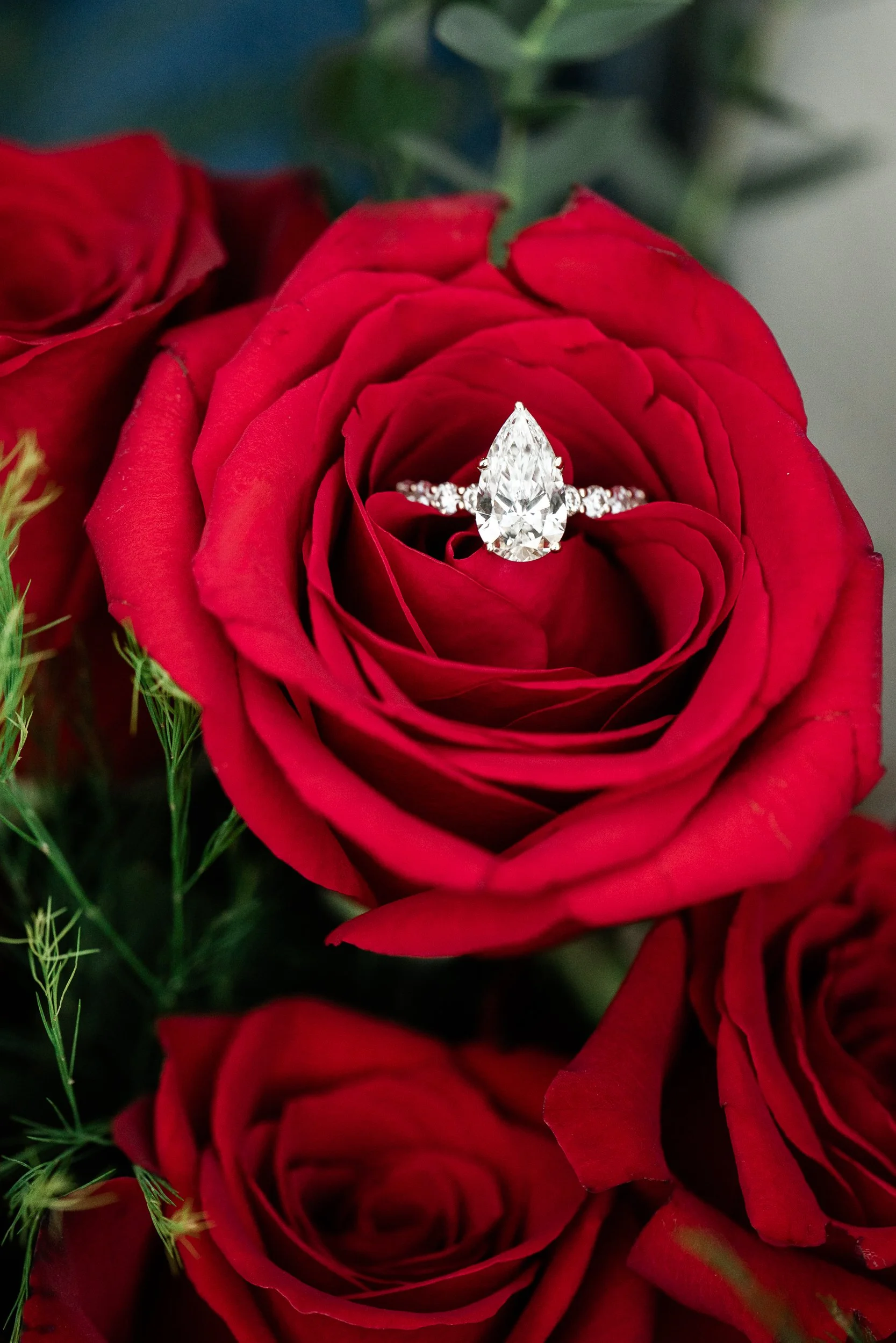 CK_blog_059.jpg