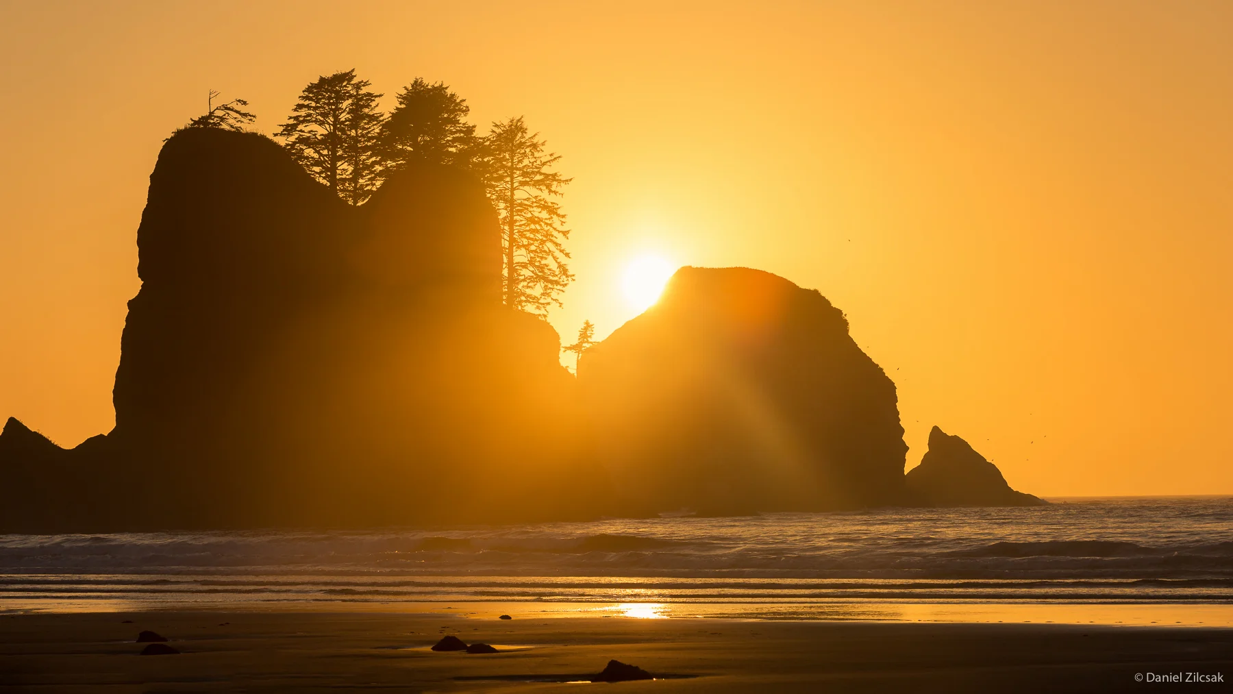 Sunset in Gold