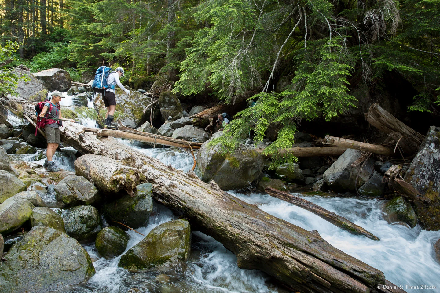 A narrow path across the creek
