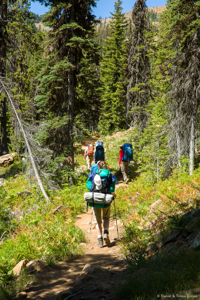 Trail to Navaho Peak is gentle most of the way up
