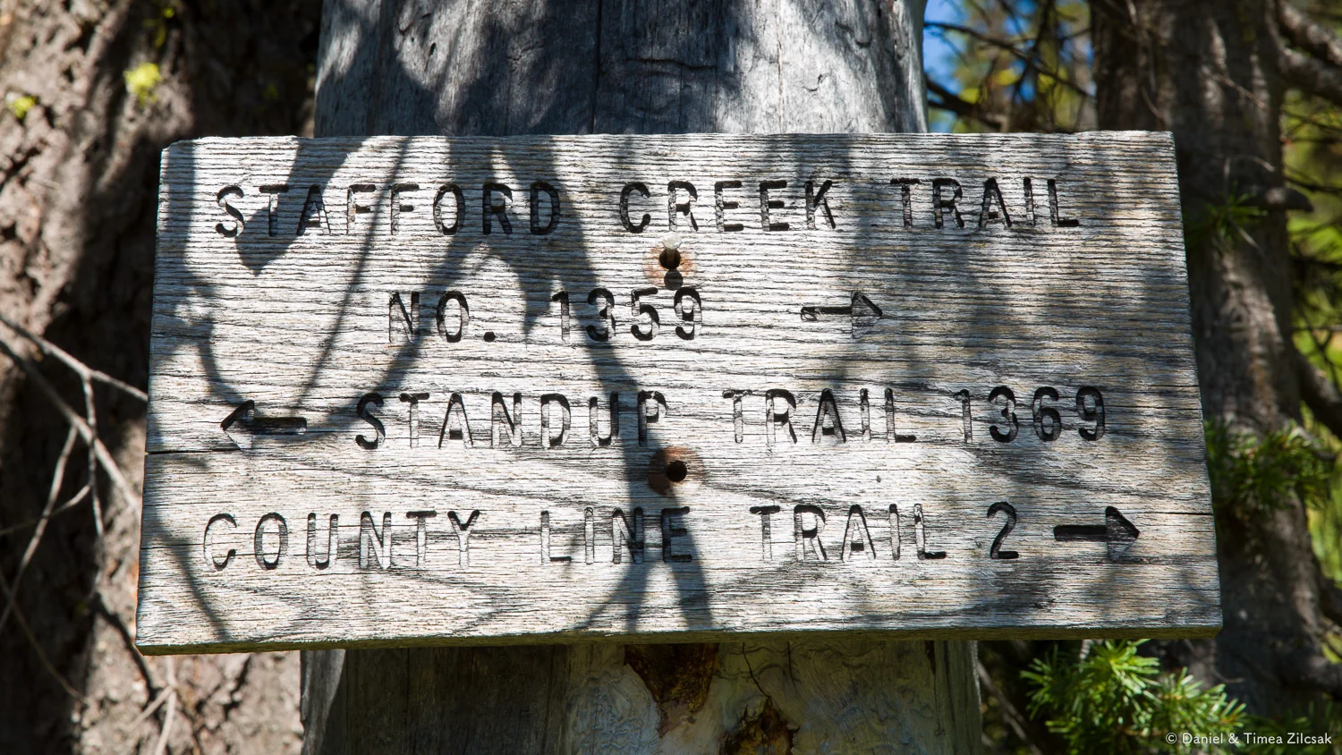 Junction with Standup Creek Trail at 3.8 miles